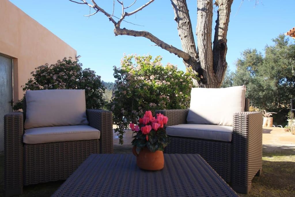 Preciosa Finca Rustica Con Piscina Privada Apartamento