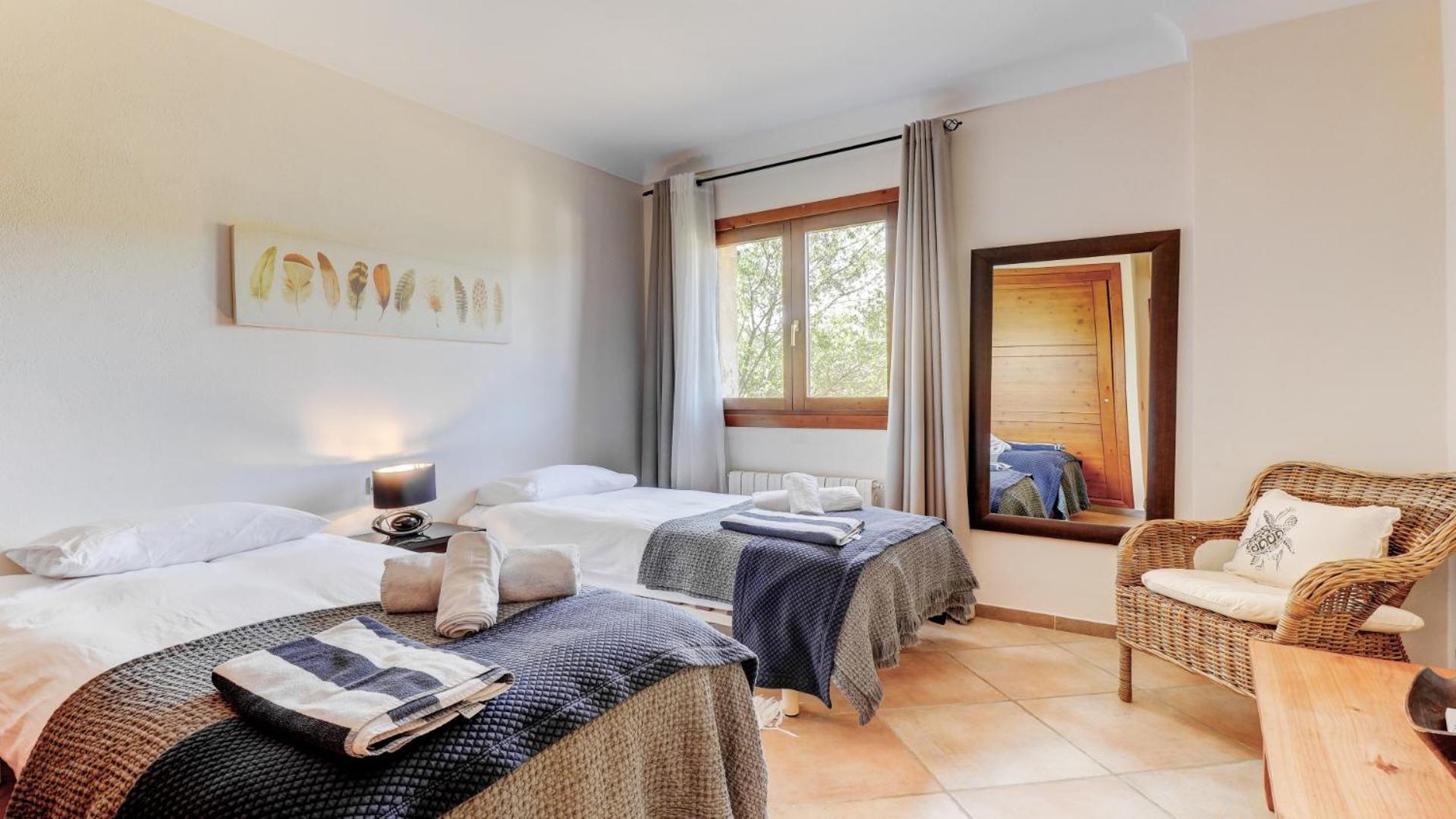 Palmeras Villa Pollensa