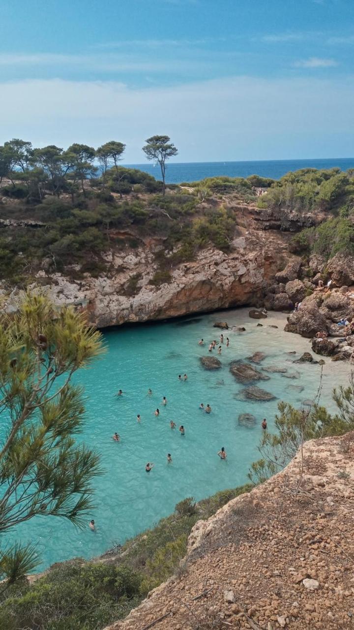 Trendy Palma de Mallorca