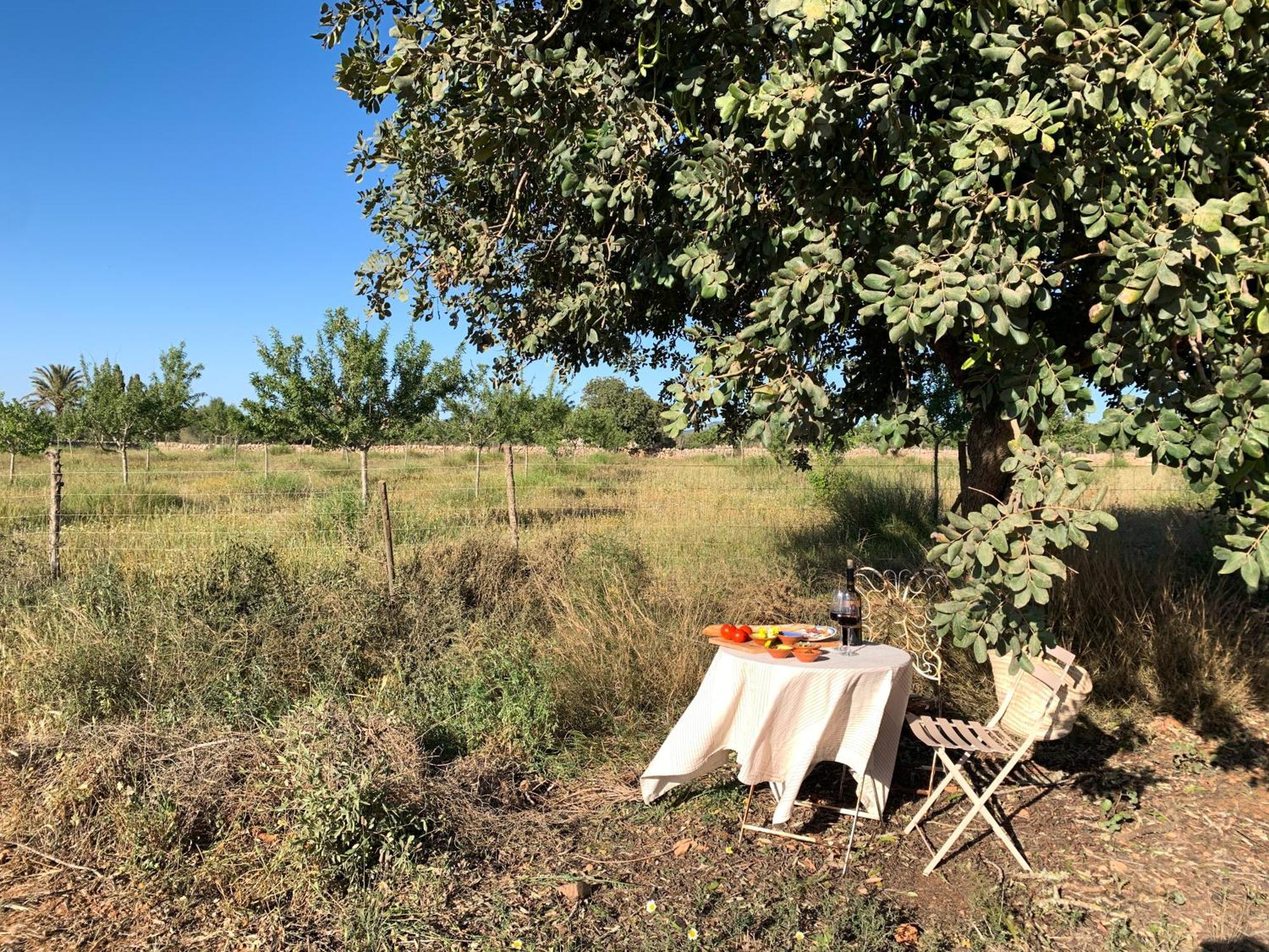 Blue Door Mallorca Farm stay Cas Concos