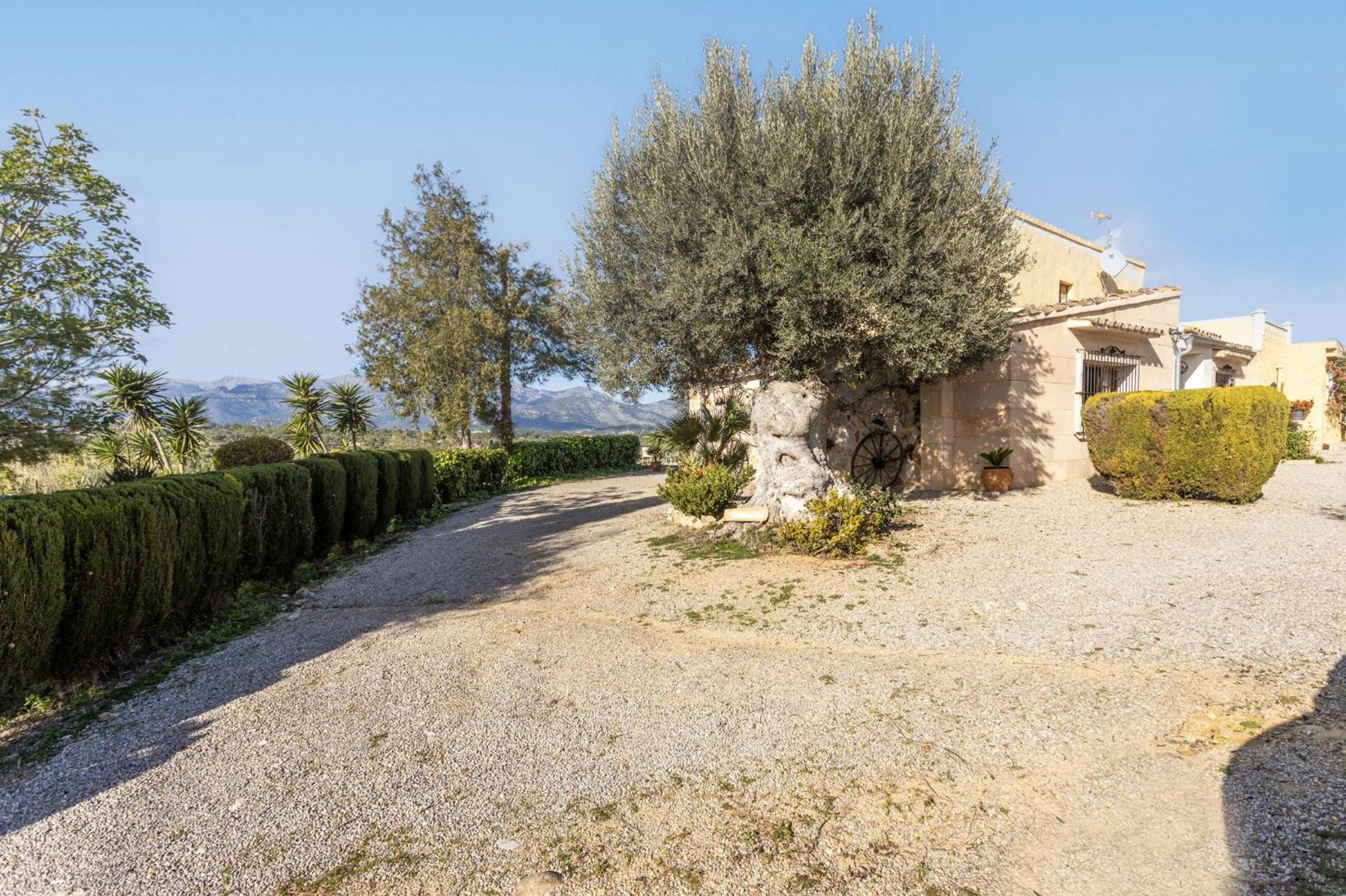 Villa Son Gual