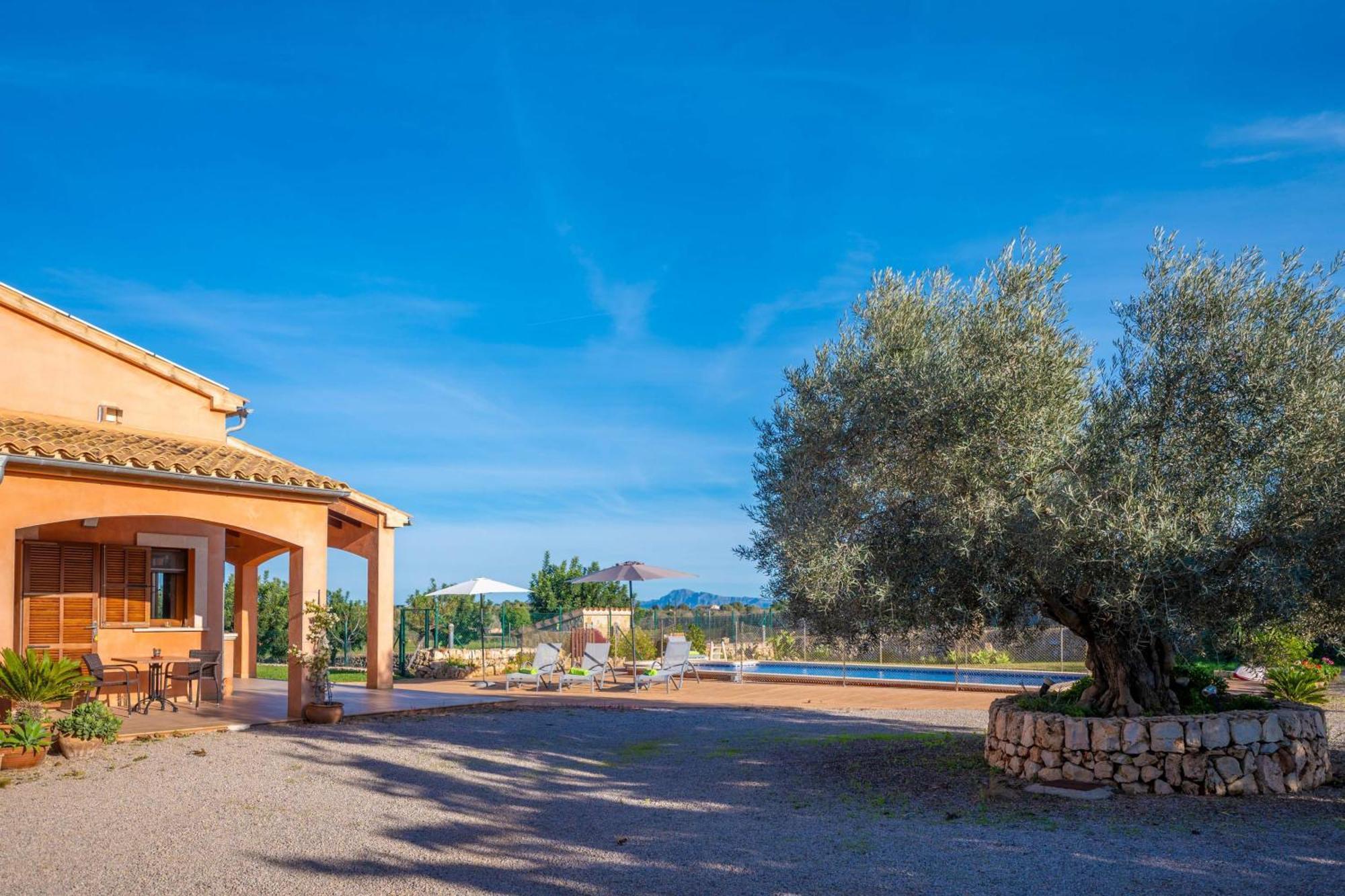 Son Morro -ca Na Poveta- Can Picafort (Mallorca)
