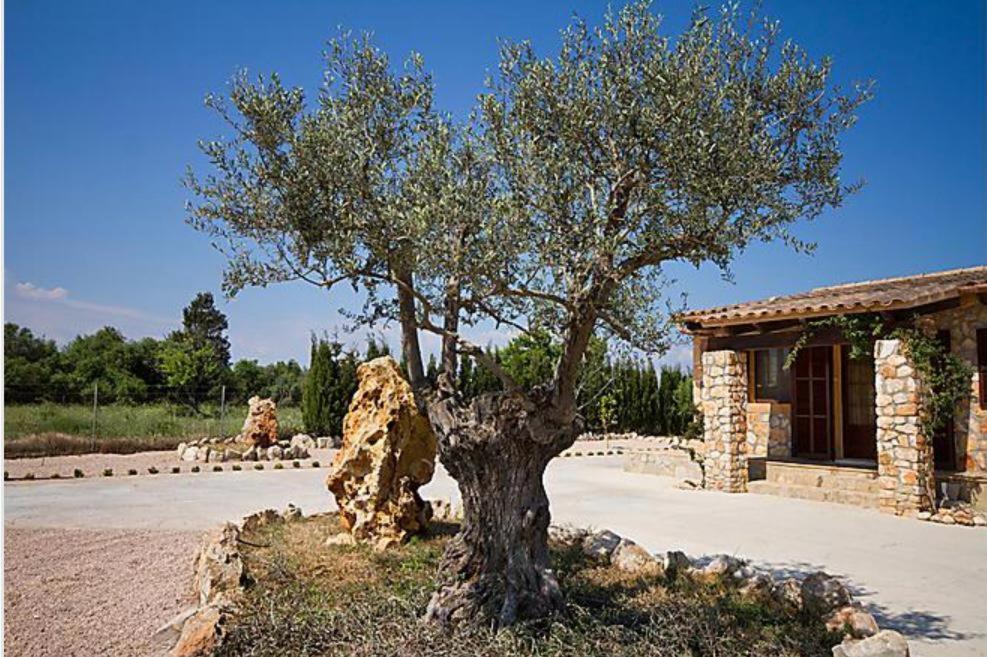 Son Segarut * Manacor (Mallorca)