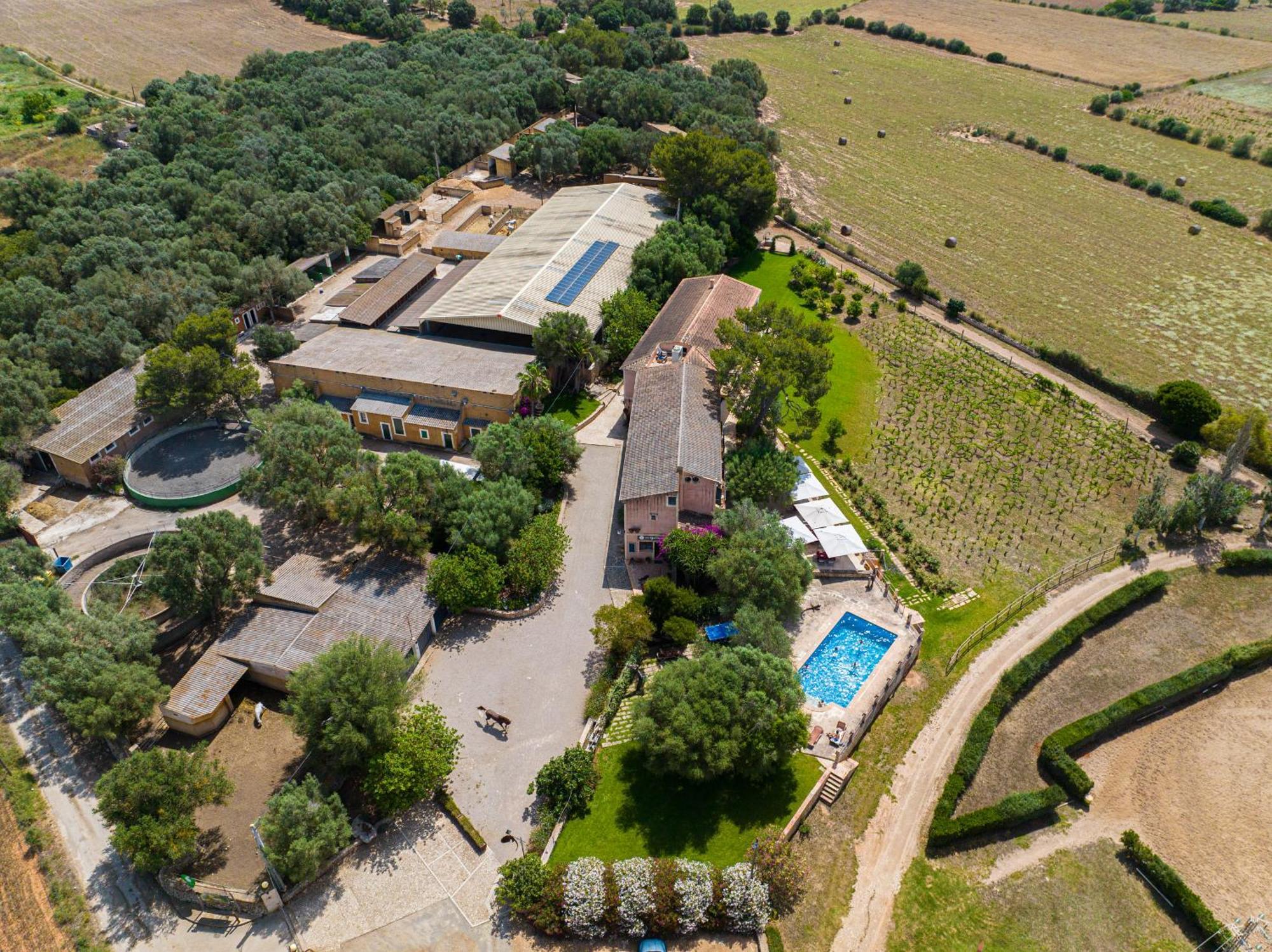 Casa rural Son Menut