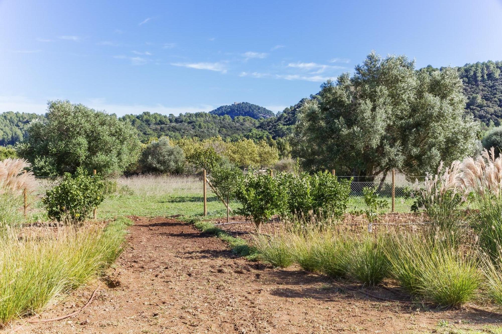 Villa Pau Pollensa
