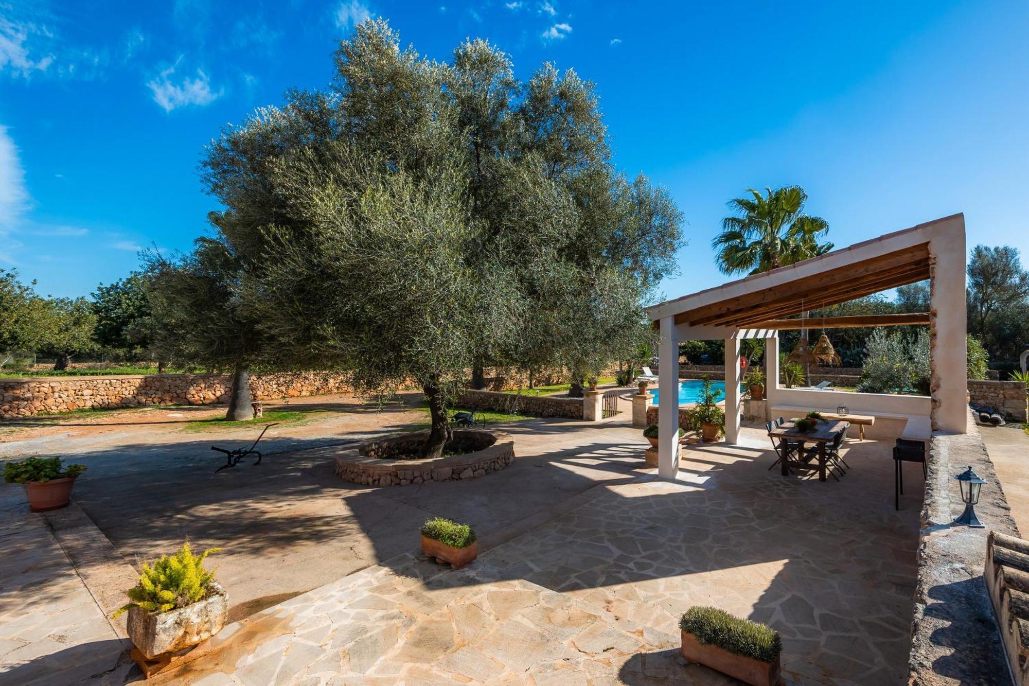 Linda Villa Campos (Mallorca)