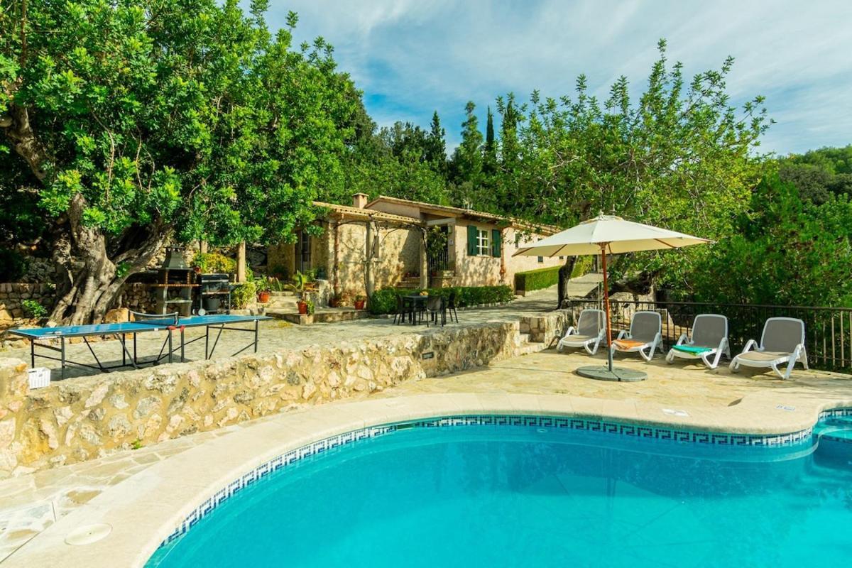 Villa Miquel, In