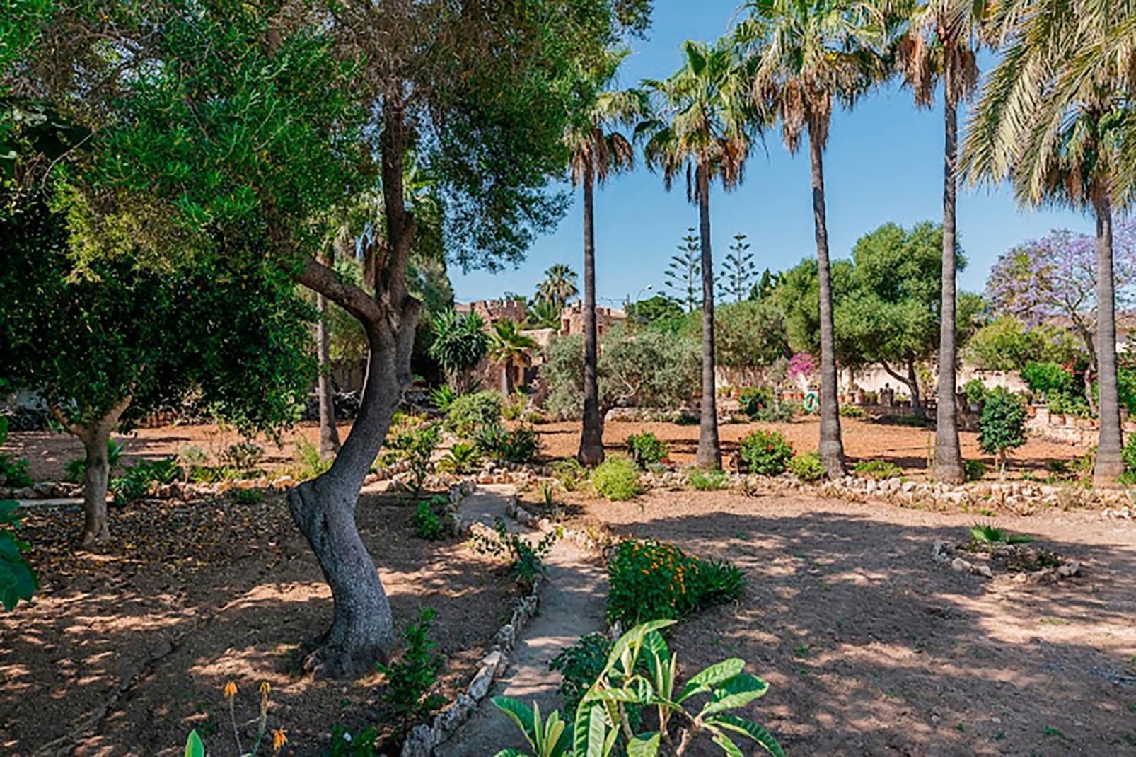 Castell Bohio Bellissimo * Urbanización Ses Palmeres