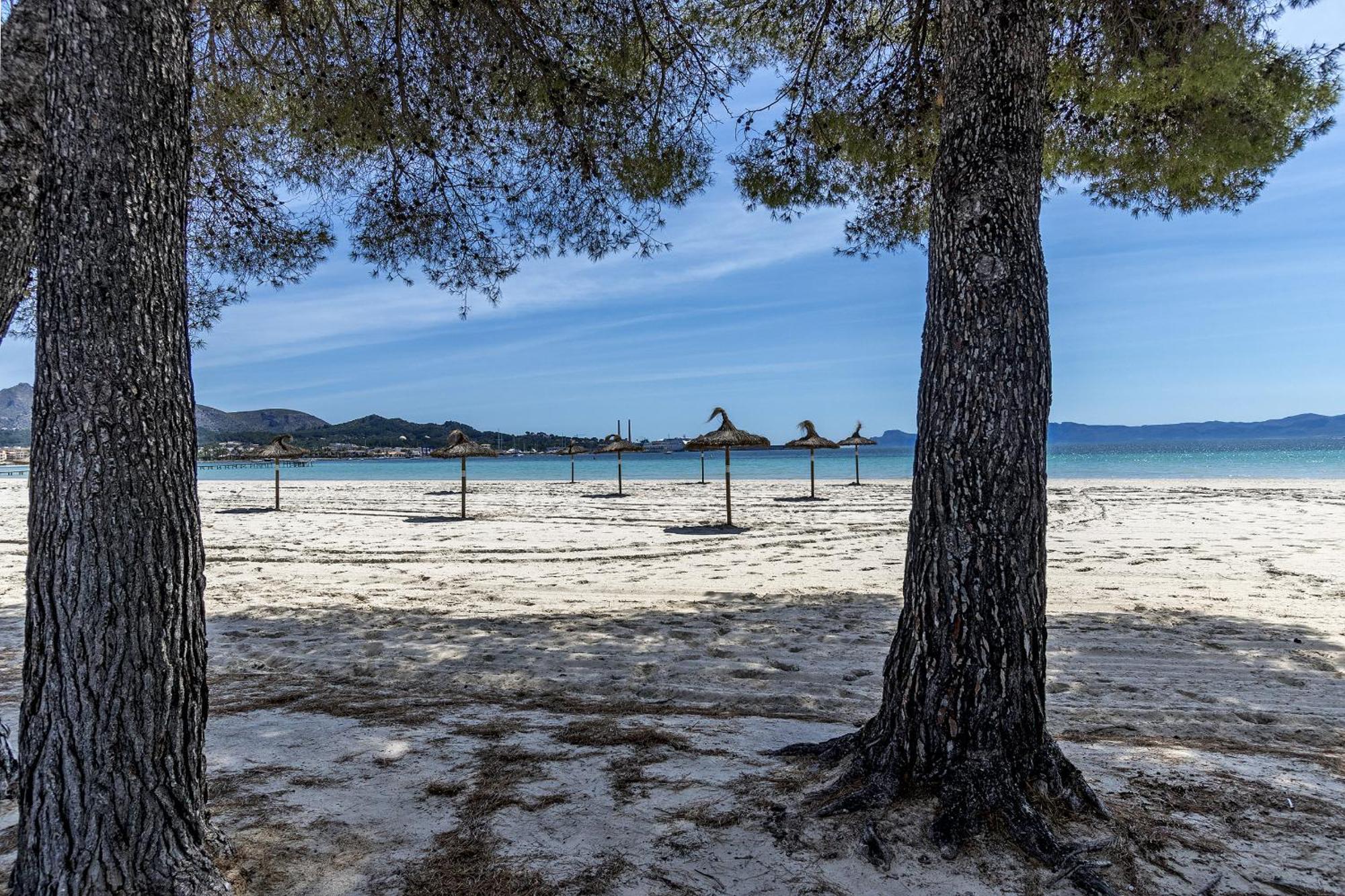 Apartamento Just 150 M From The Alcudia