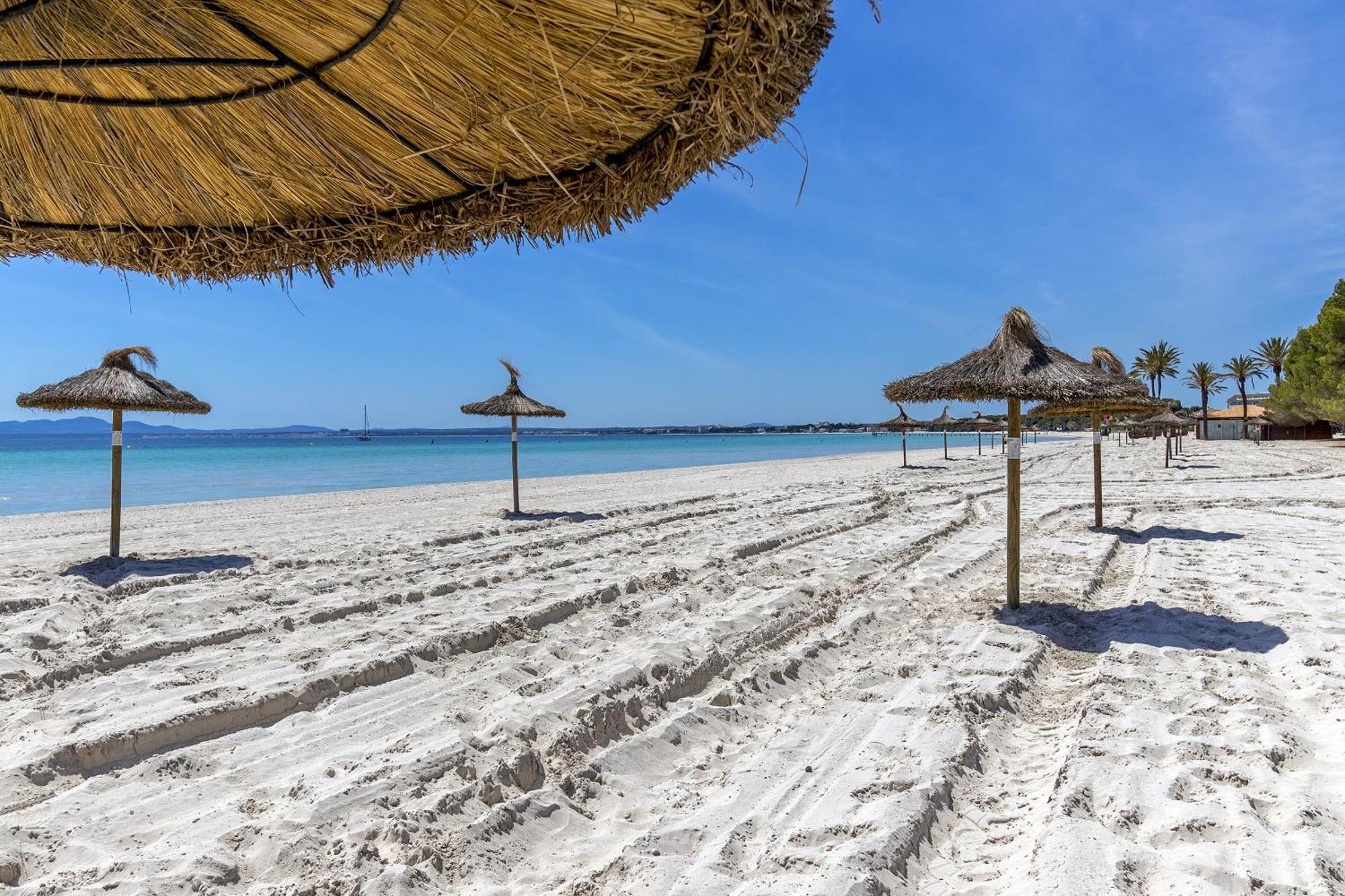 Just 150 M From The Alcudia