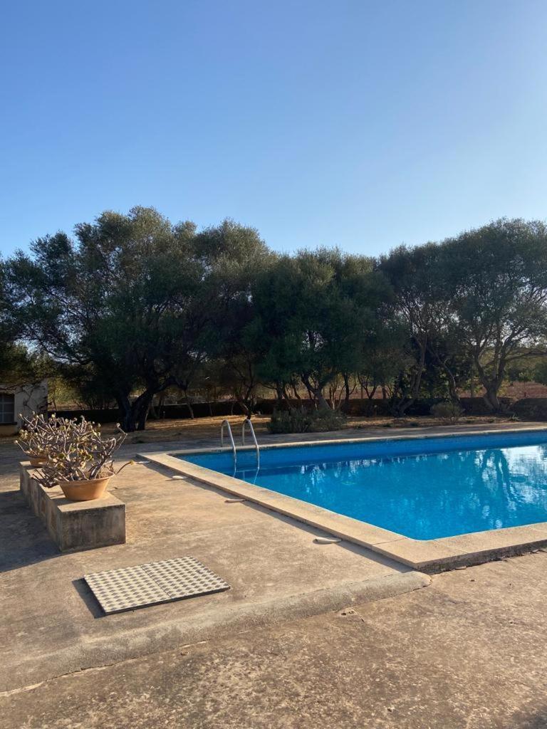 Sa Nau - Adults Only Over 16 Portocolom (Mallorca)