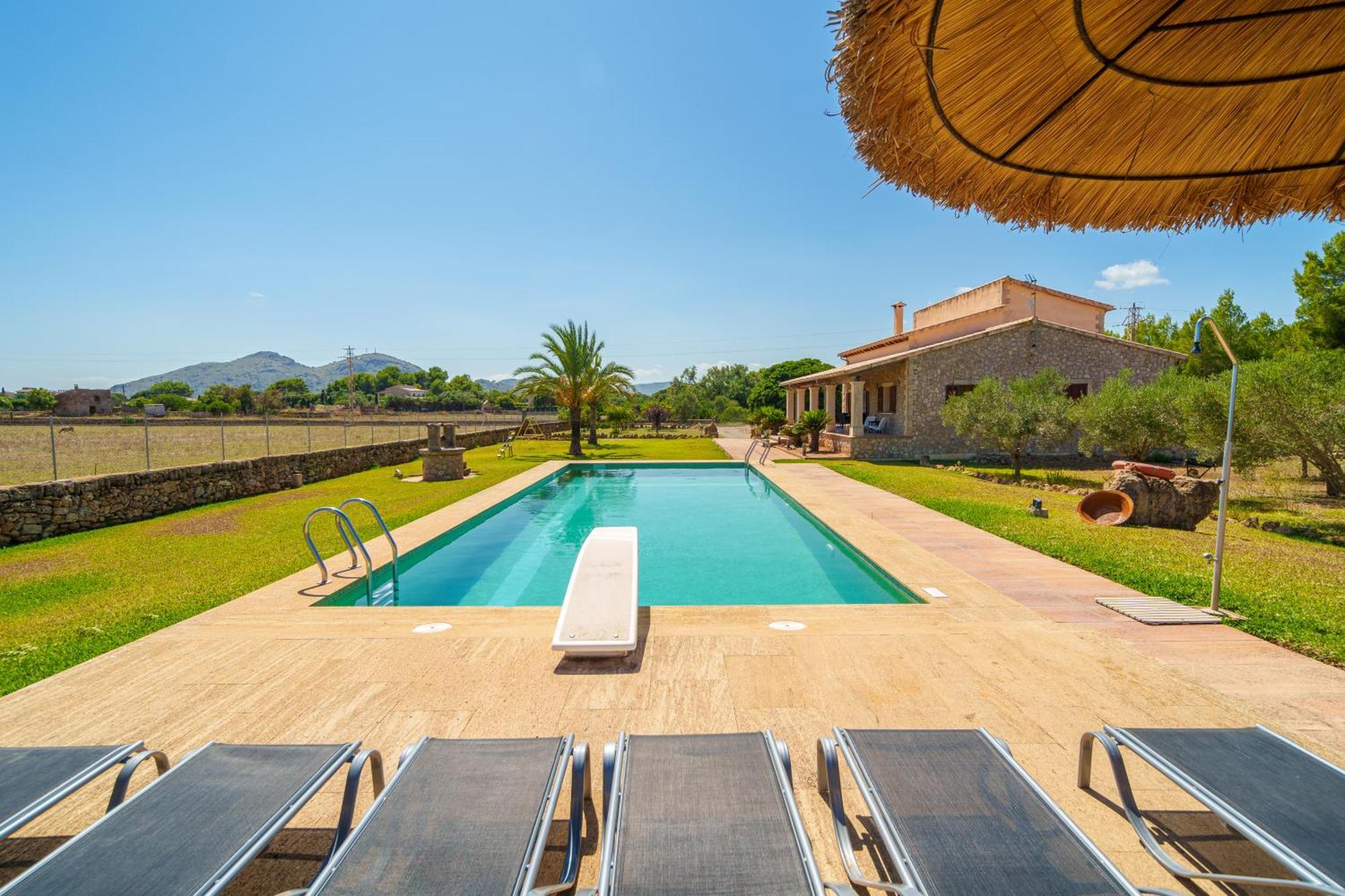 Mosca, Garden And Swimming Pool Close To Villa Alcudia (Mallorca)