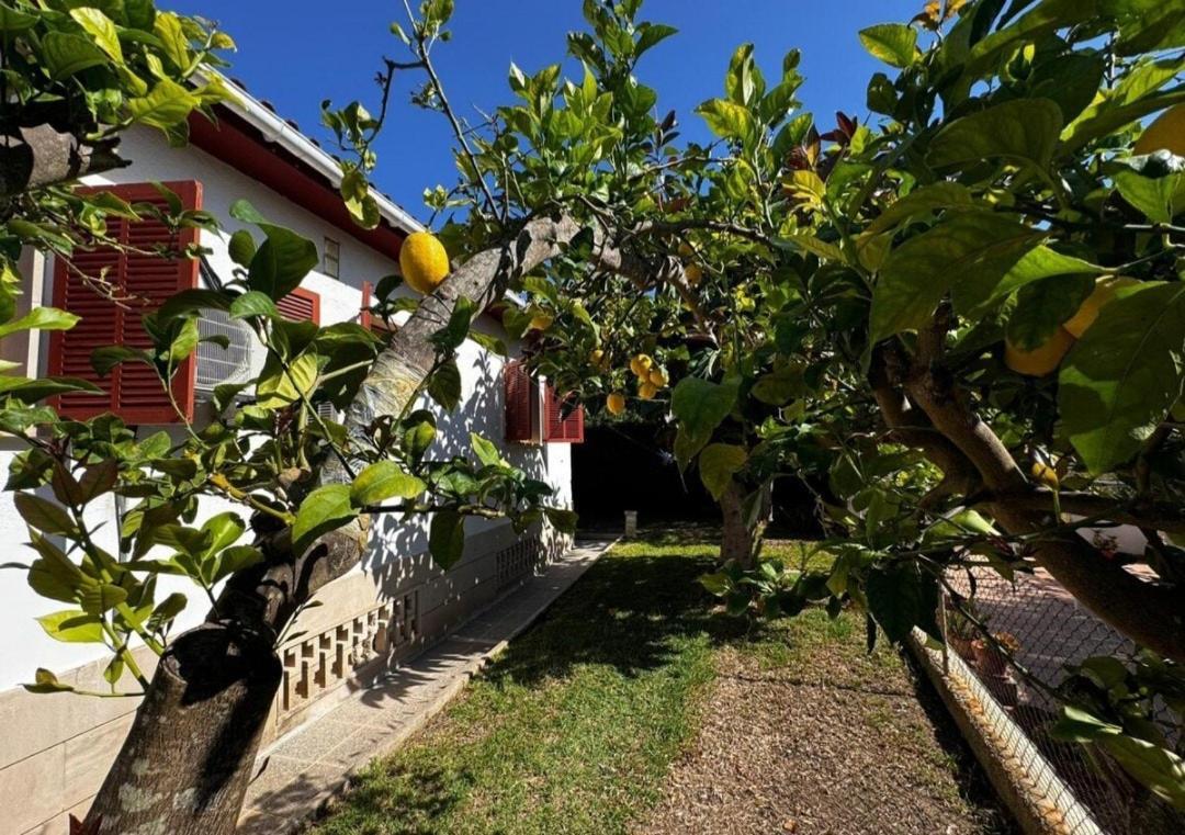 Сasa de vacaciones Casa Carla In Picafort *