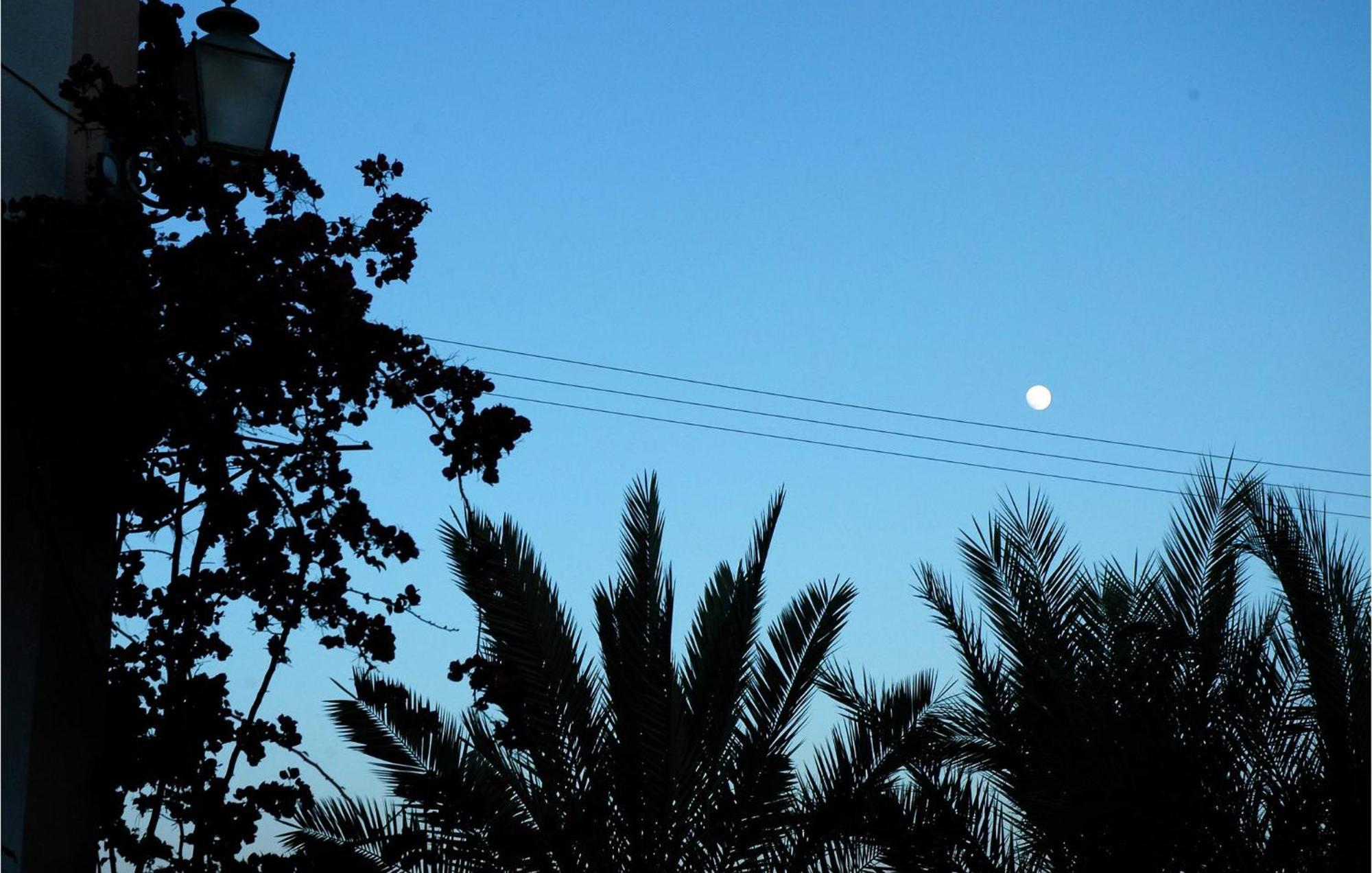 Lovely In *
