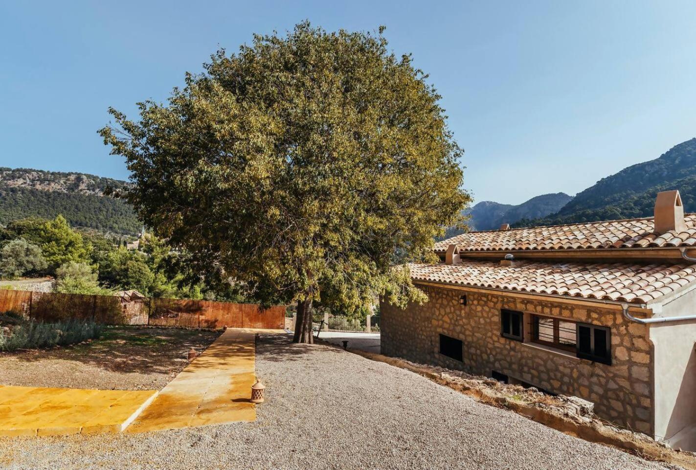Es Bosc Des Frares * Valldemossa (Mallorca)