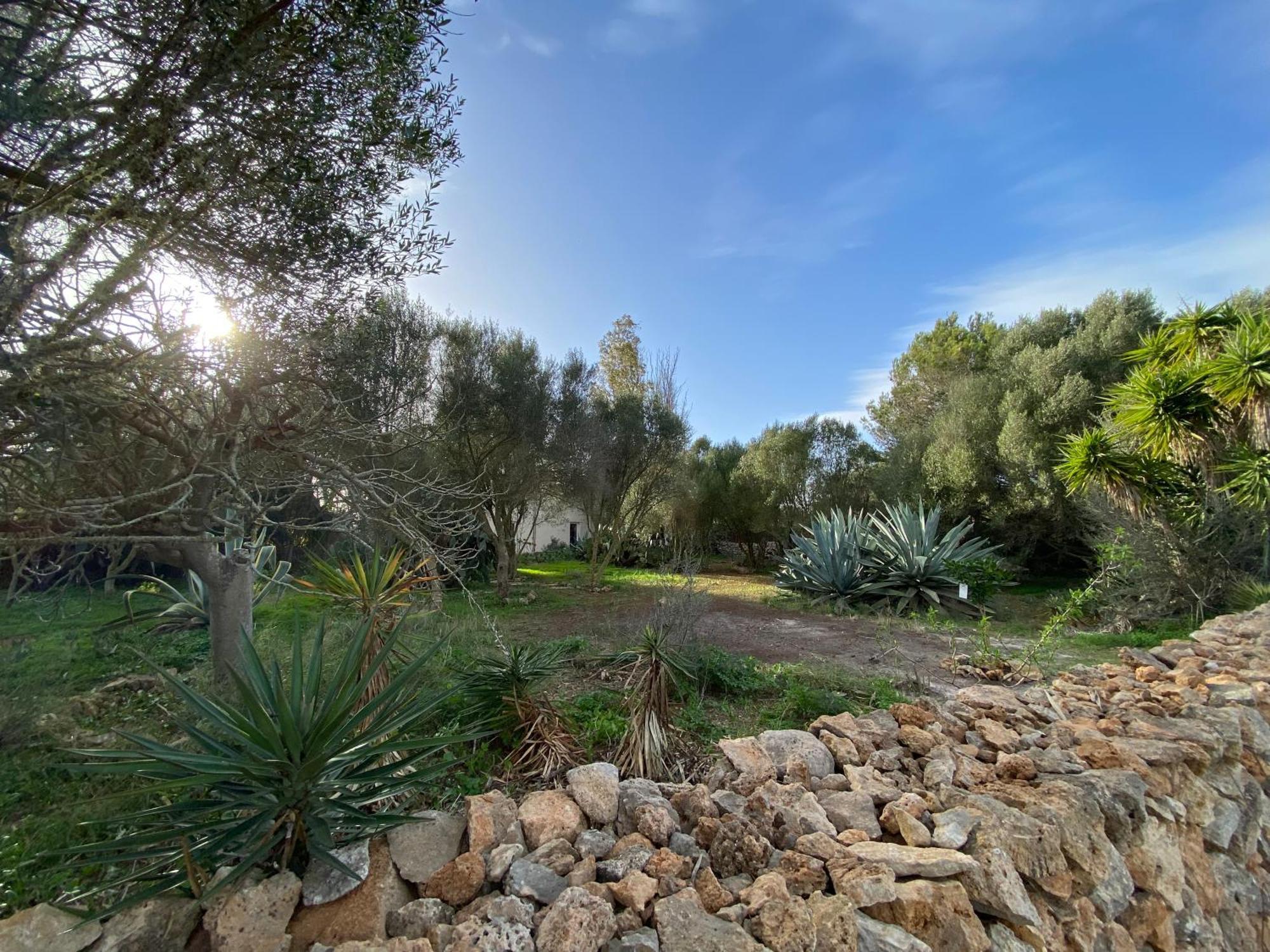 Casa Farah Holiday home *