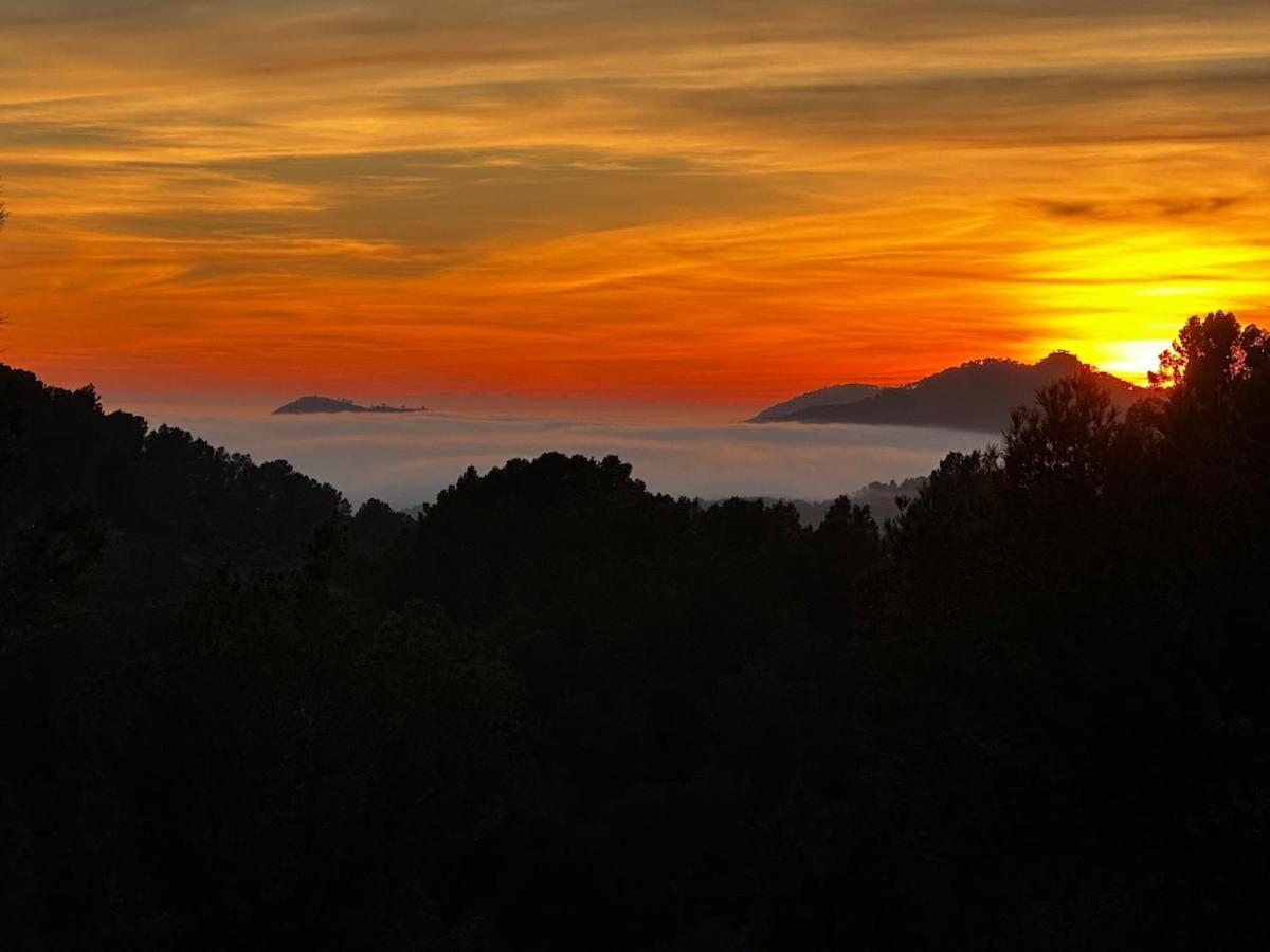 Villa Royal Hideaway & Retreat Son Font Calvia (Mallorca)