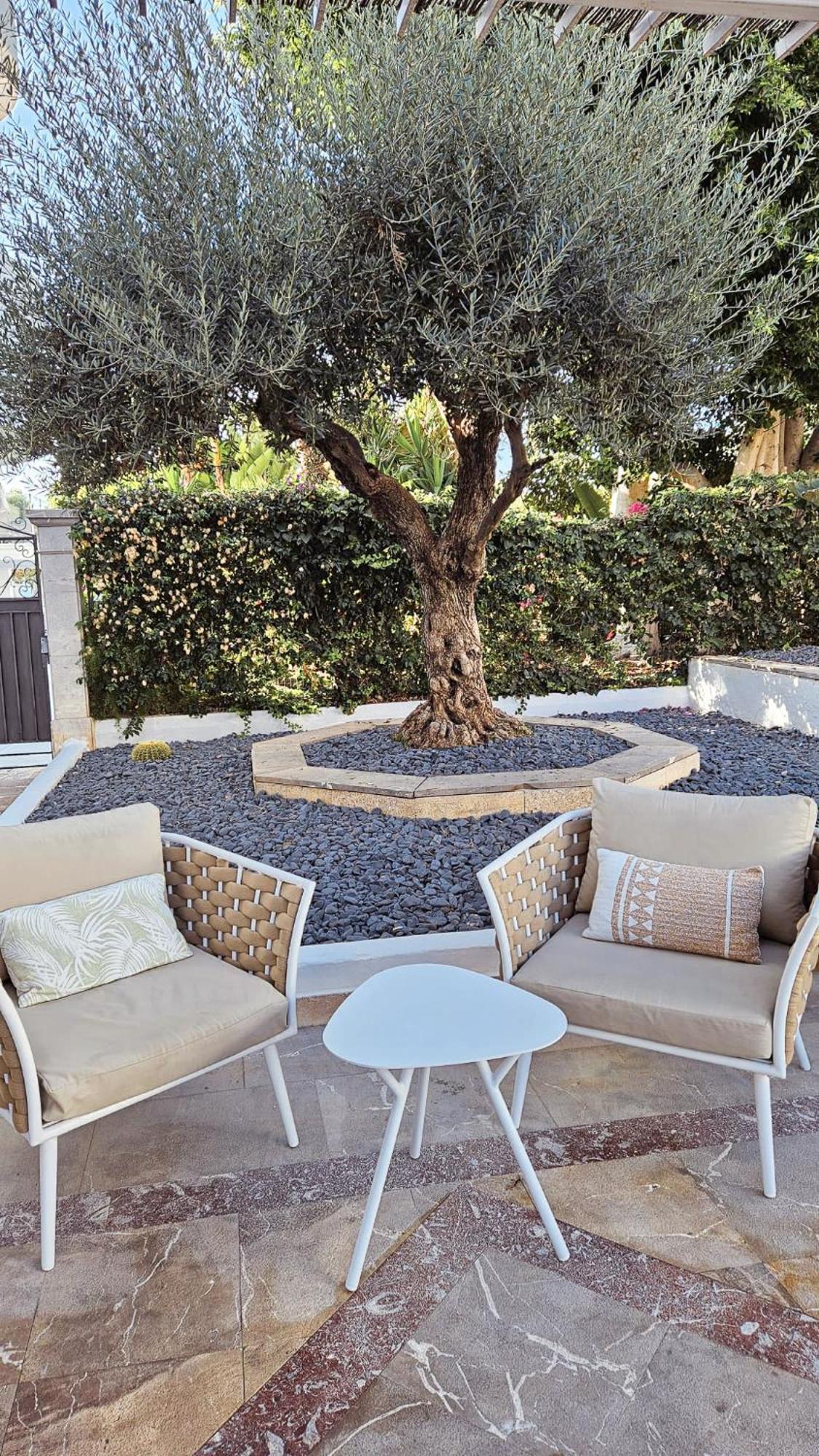 Sentido Fido Tucan - Adults Only 4* Cala D´Or