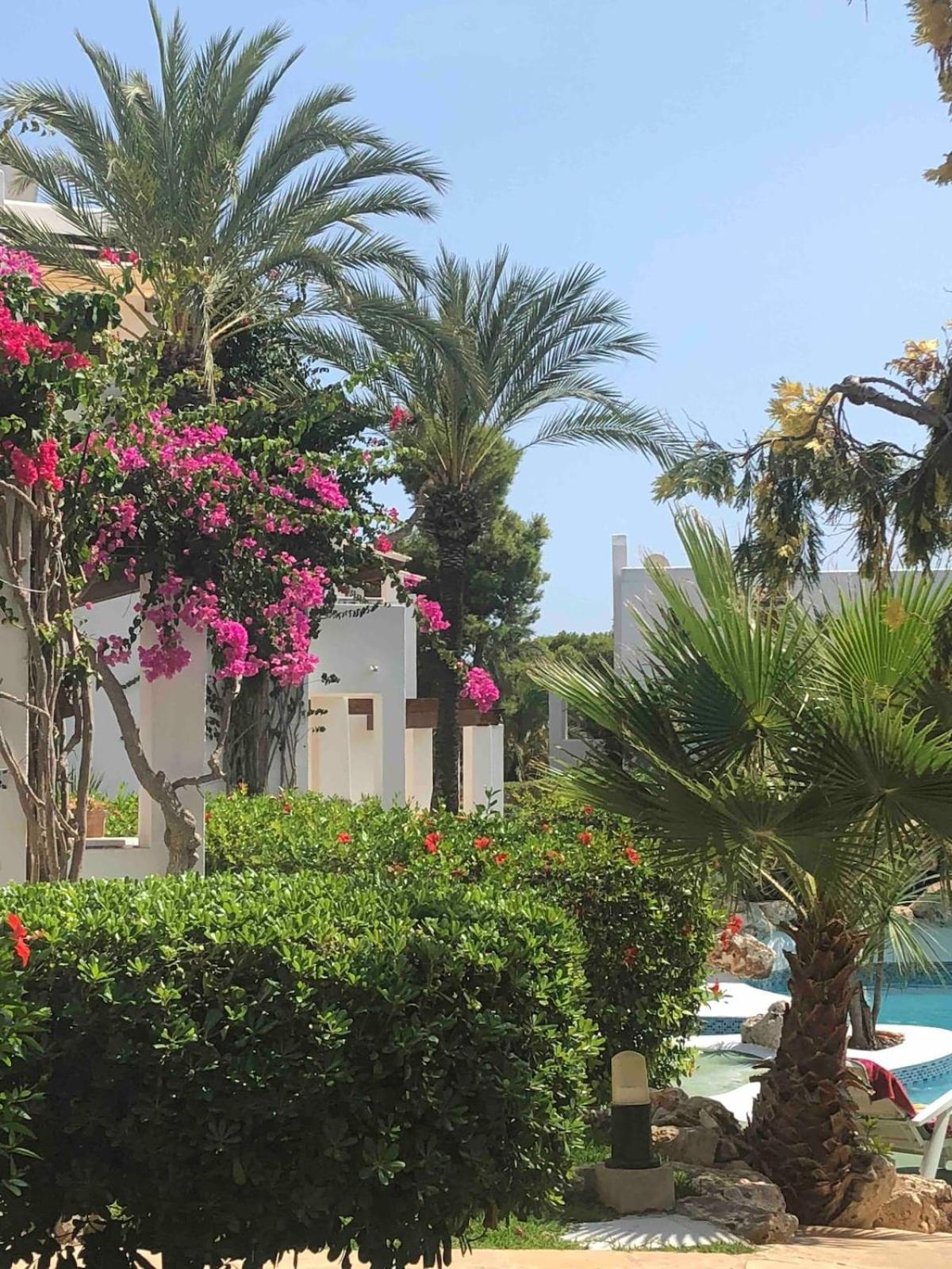 Only For Long Penthaus Casa Harmony * Cala D´Or
