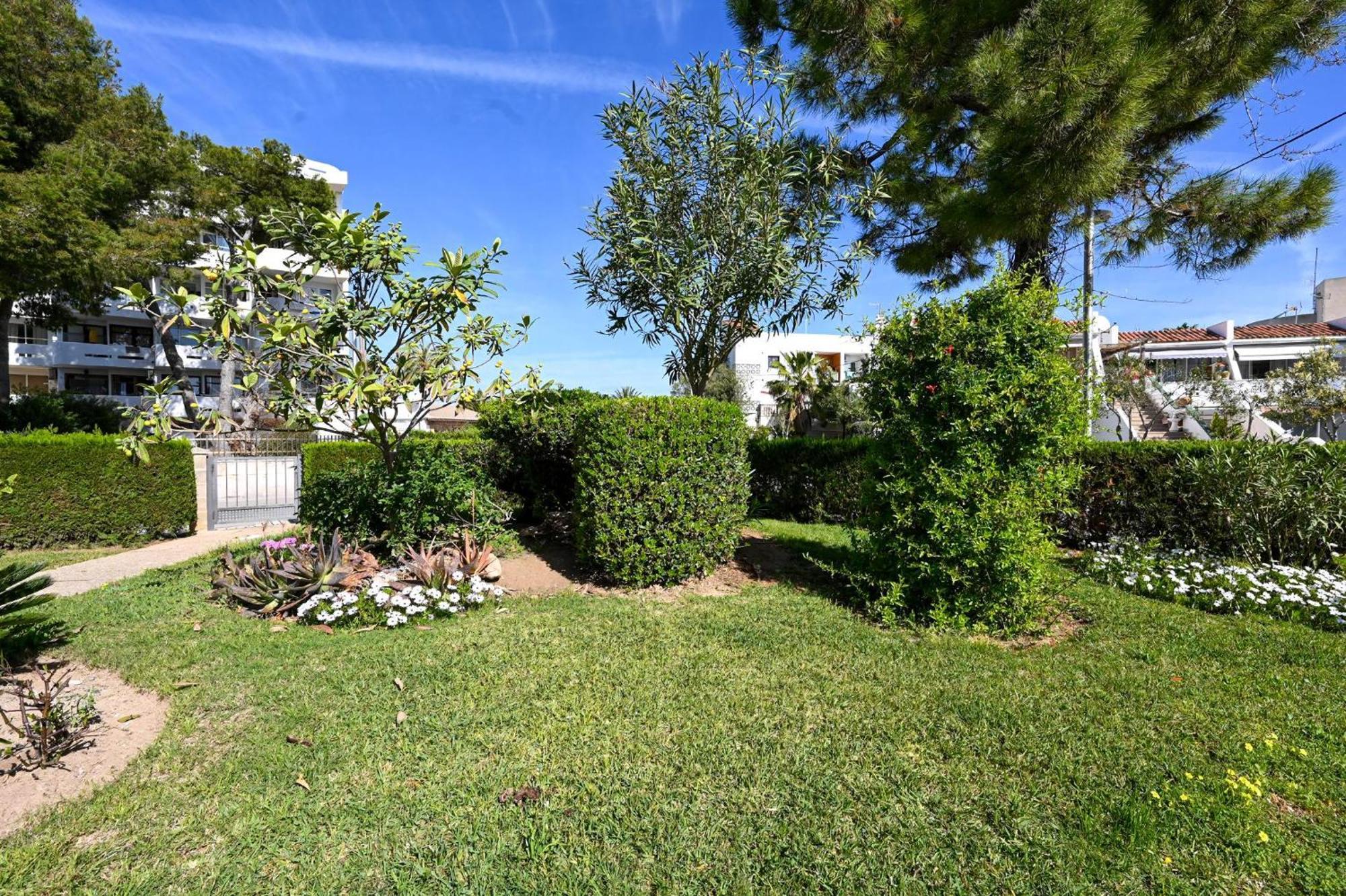 Apartamento Mar De Plata In Nur 5 Minuten Vom Alcúdia