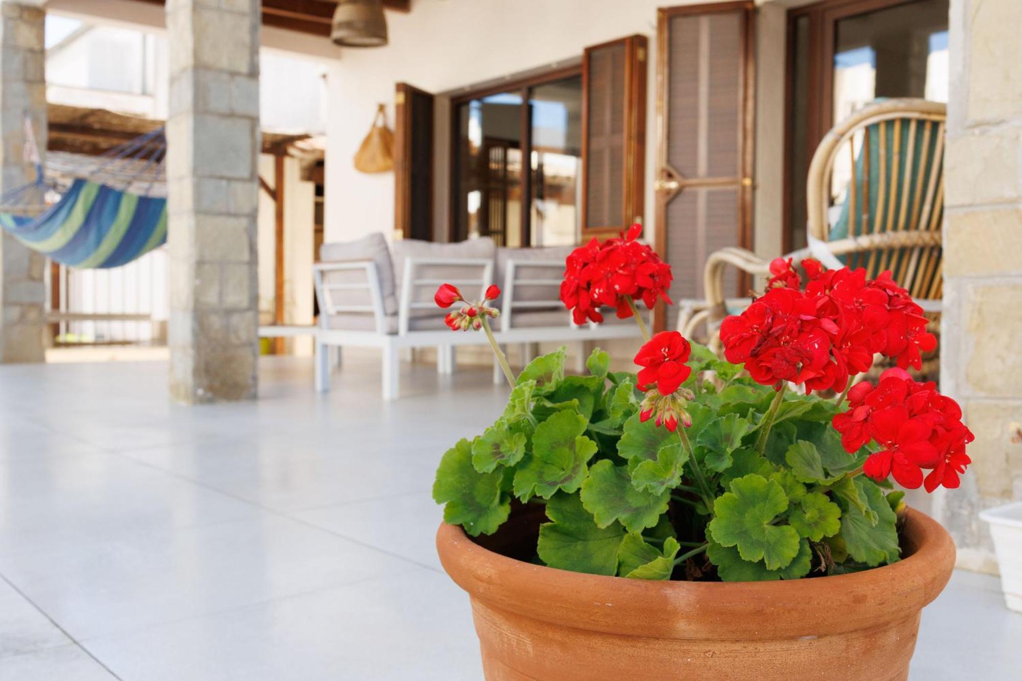 Ordinas Alcudia (Mallorca)