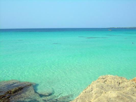 Sa Sorda Campos (Mallorca)