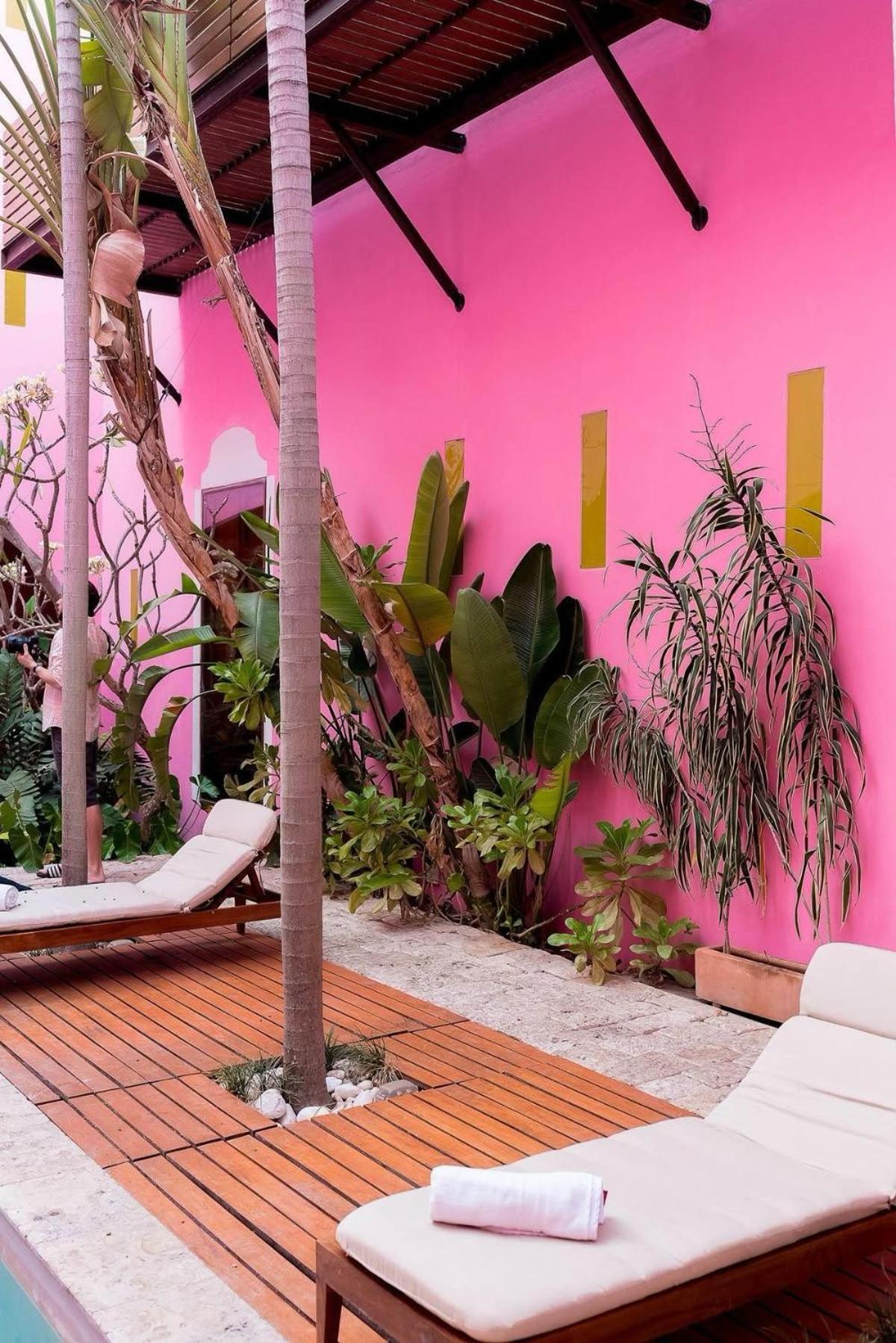 Flamingo Lujo