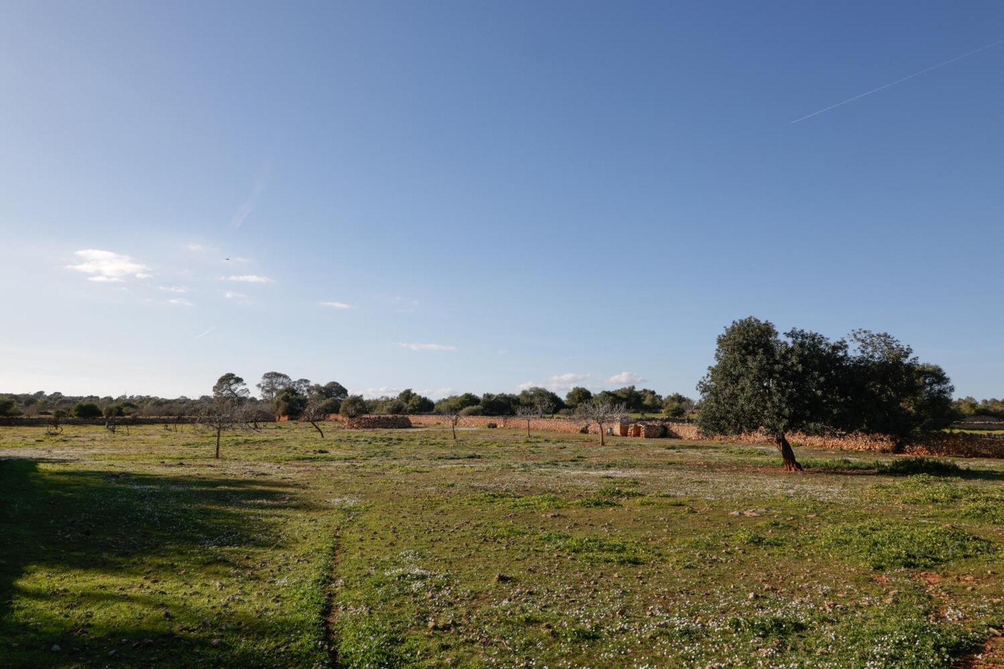 Son Pieras Casa rural