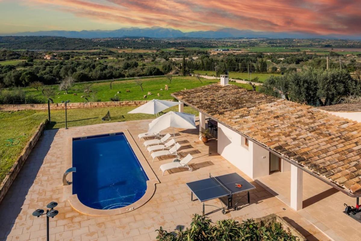 Apartamento Sa Figuereta Living Place