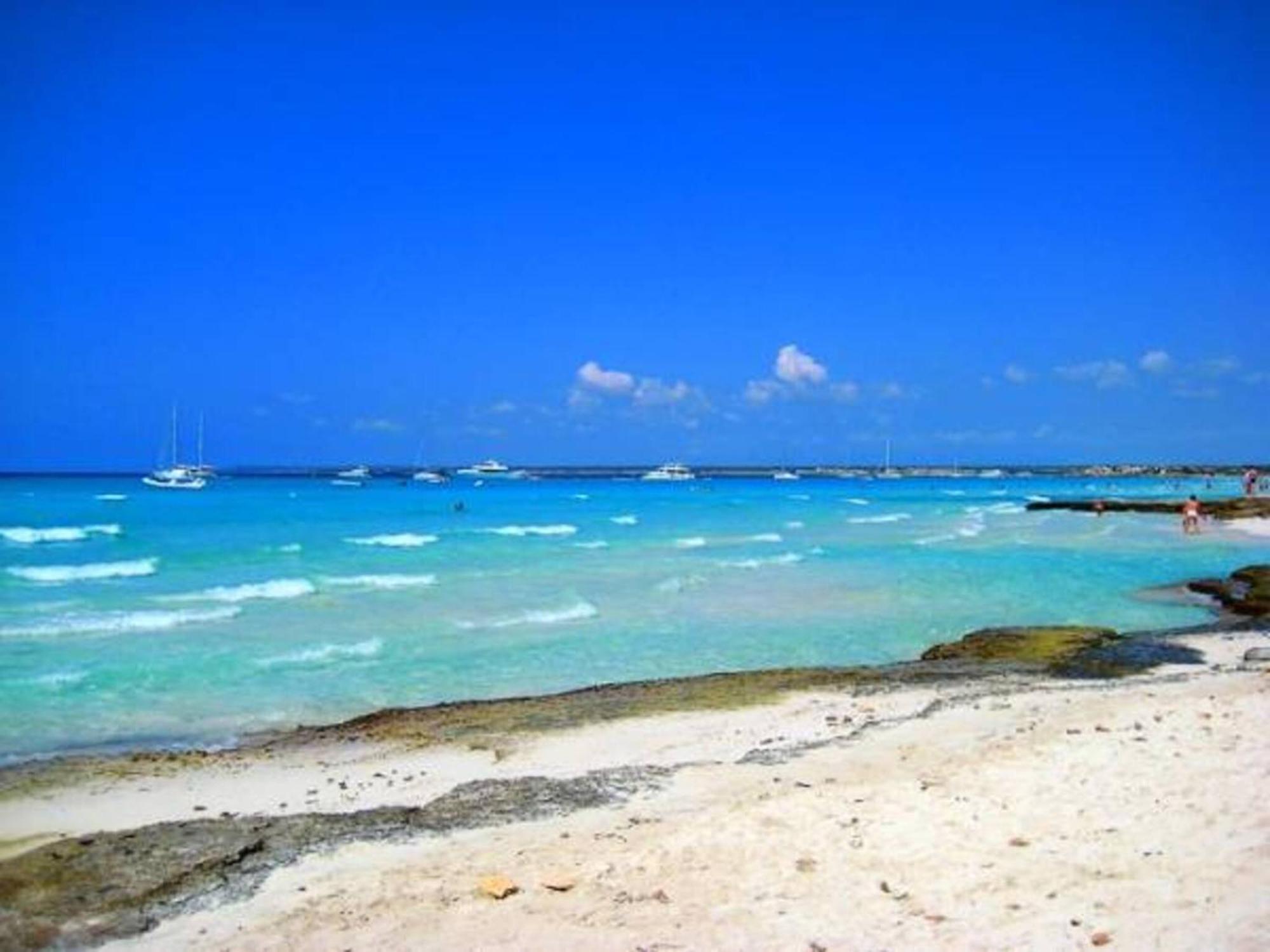 Farm stay Ses Arenes Campos (Mallorca)