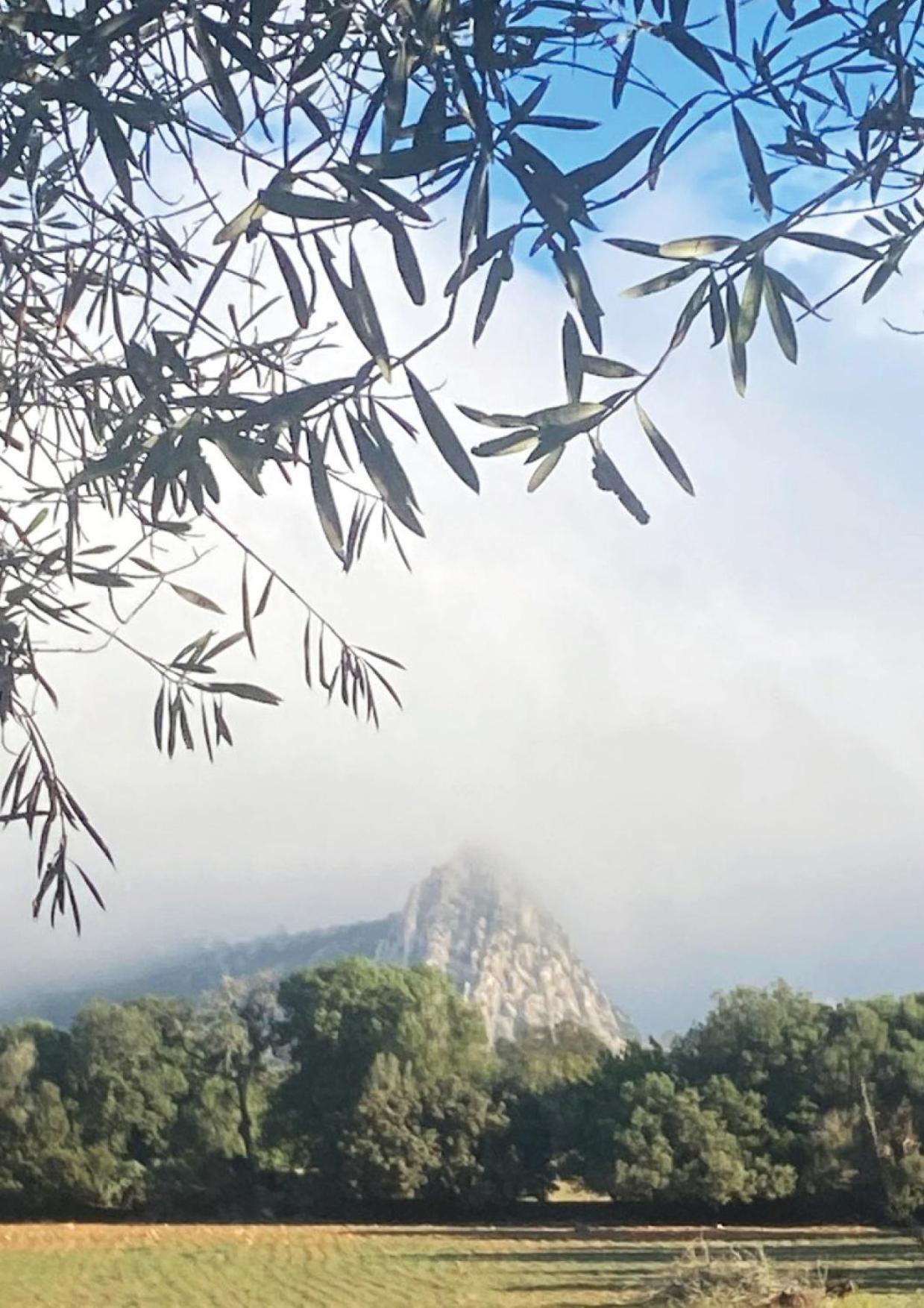 Сasa de vacaciones Animas