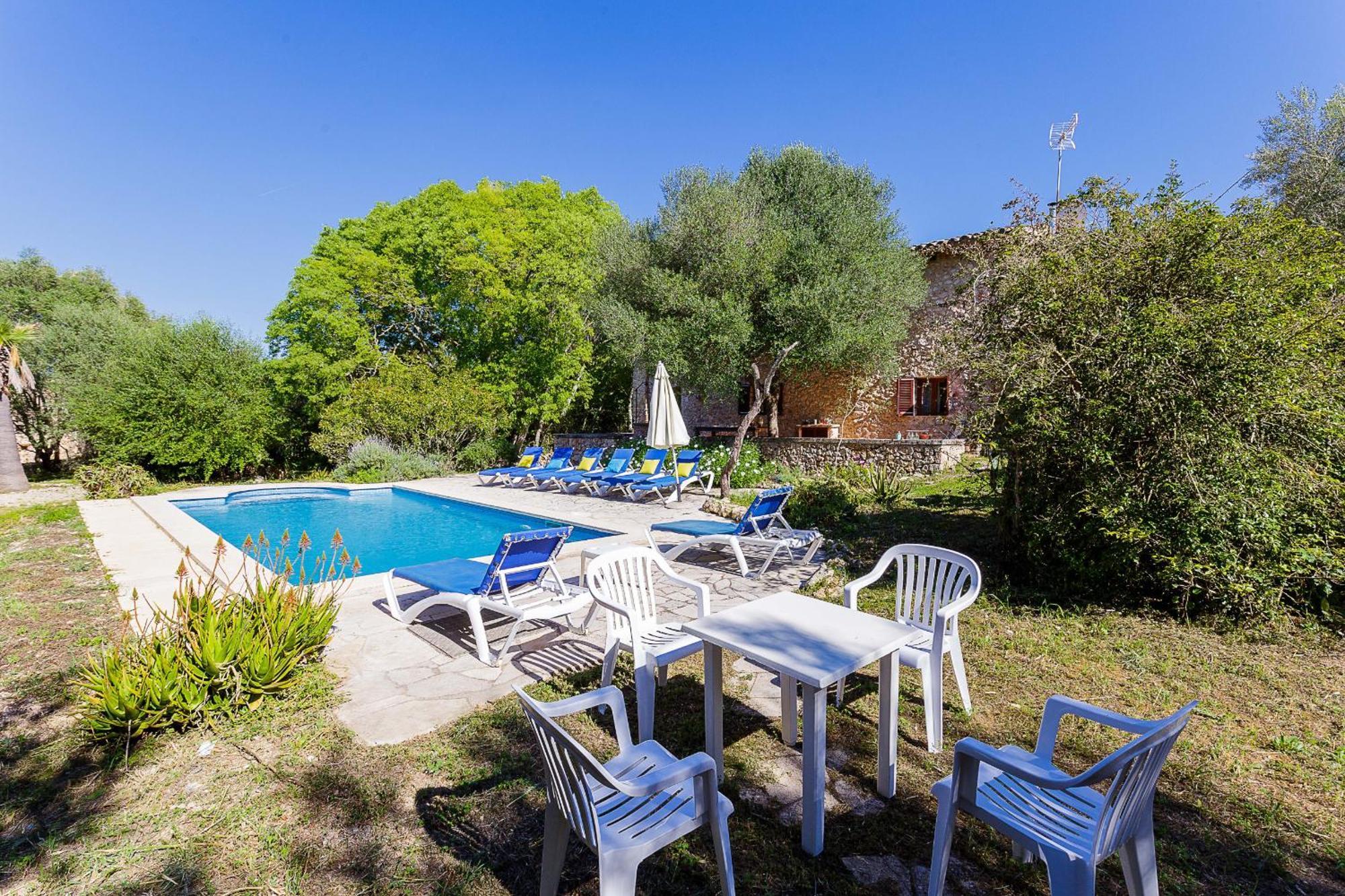 Gallet Costitx (Mallorca)