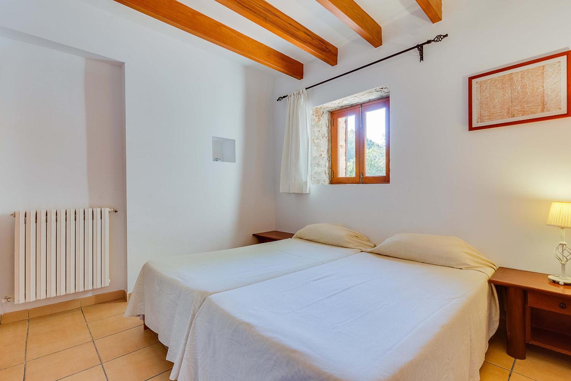 Gallet Costitx (Mallorca)