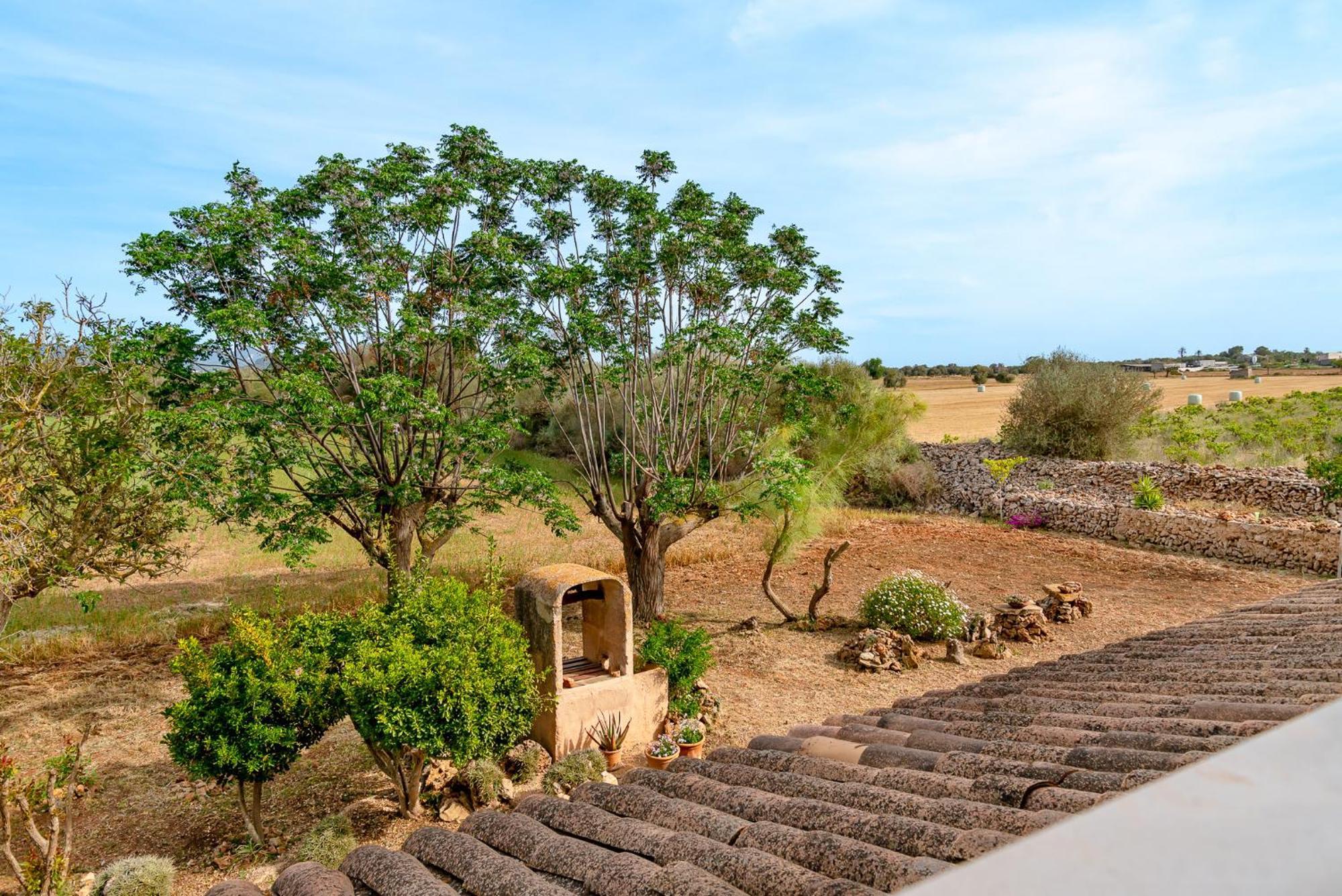 Espina Villa *