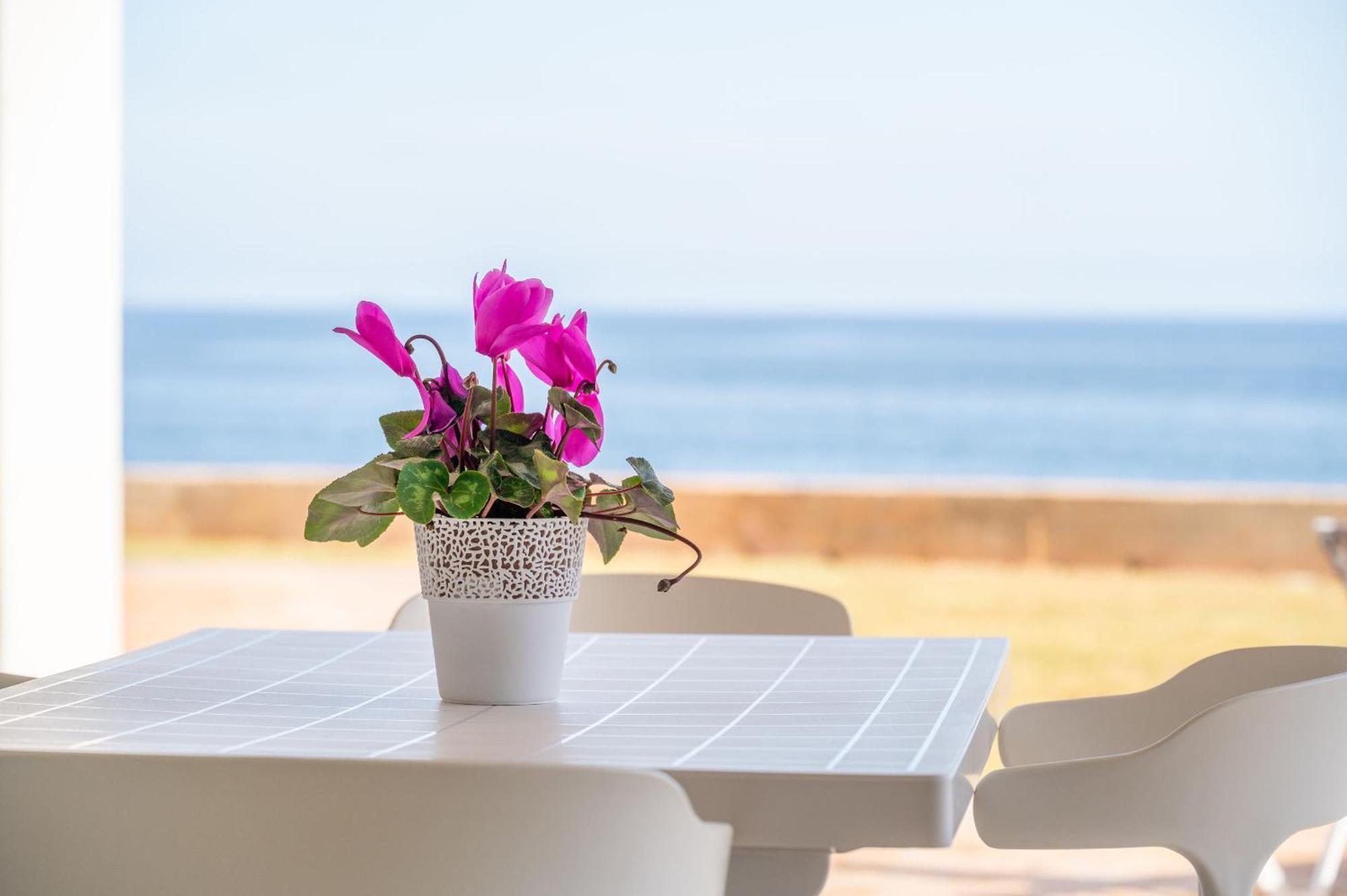 Dofi By Mallorca House Rent