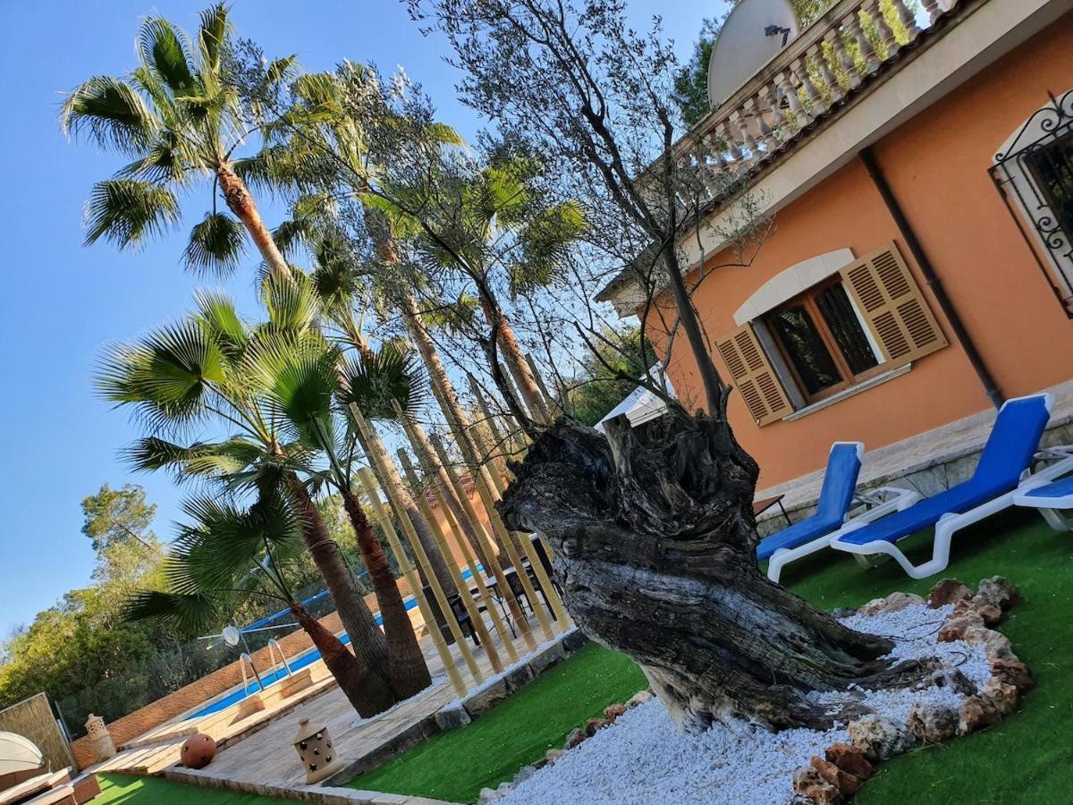 La Pleta Super Lujo Campos (Mallorca)