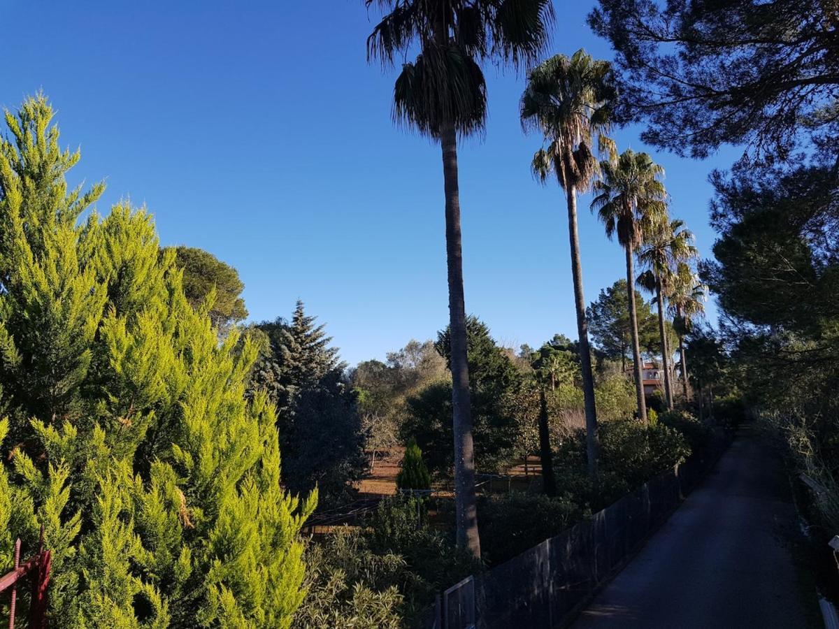 La Pleta Super Lujo Campos (Mallorca)