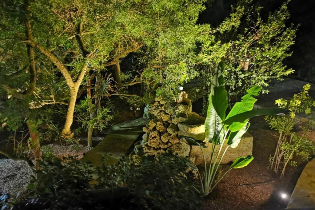 La Pleta Super Lujo * Campos (Mallorca)