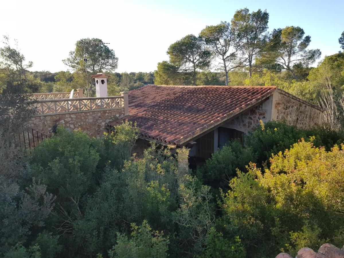 La Pleta Super Lujo Villa *