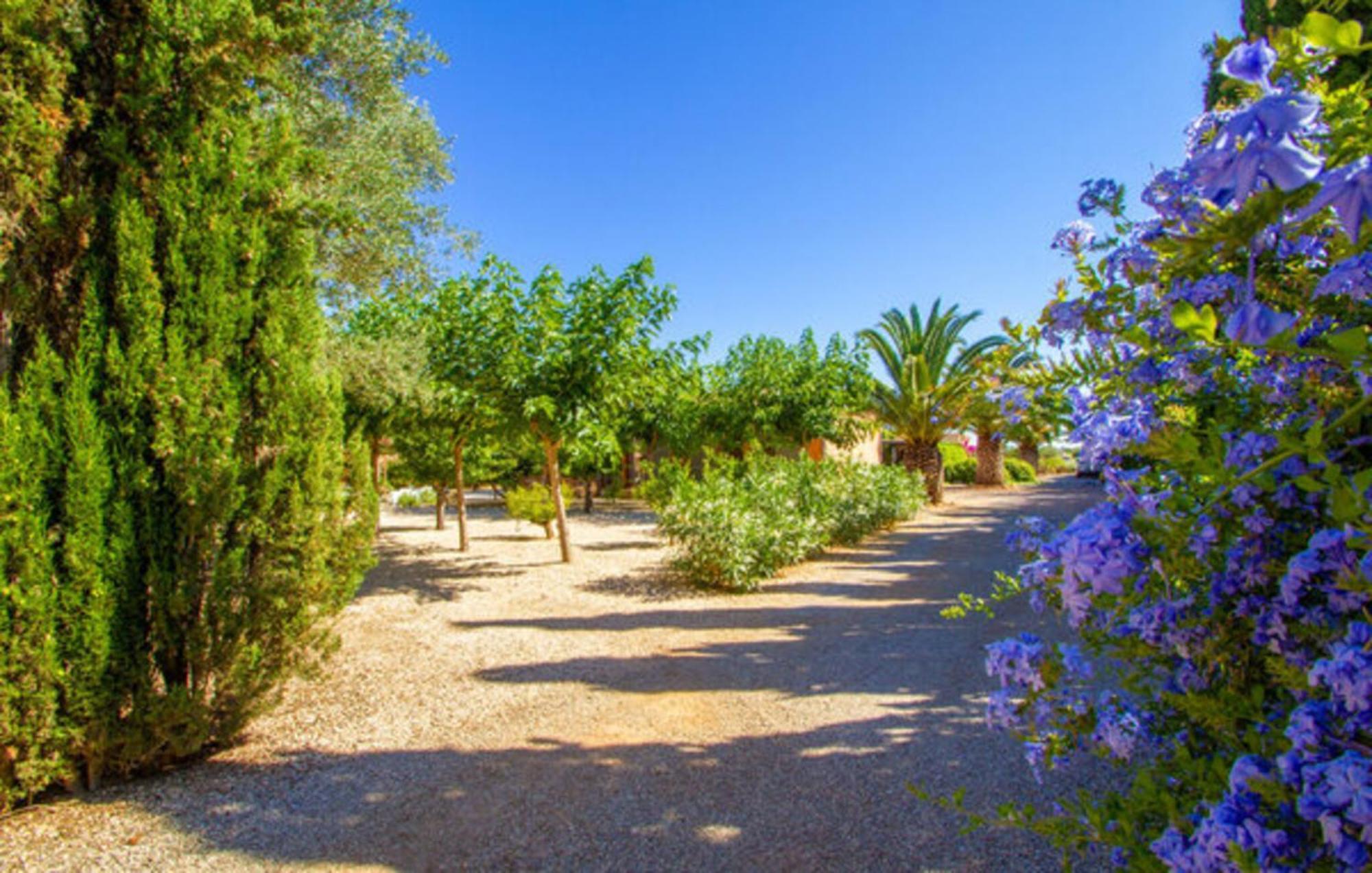 Villa Jara *