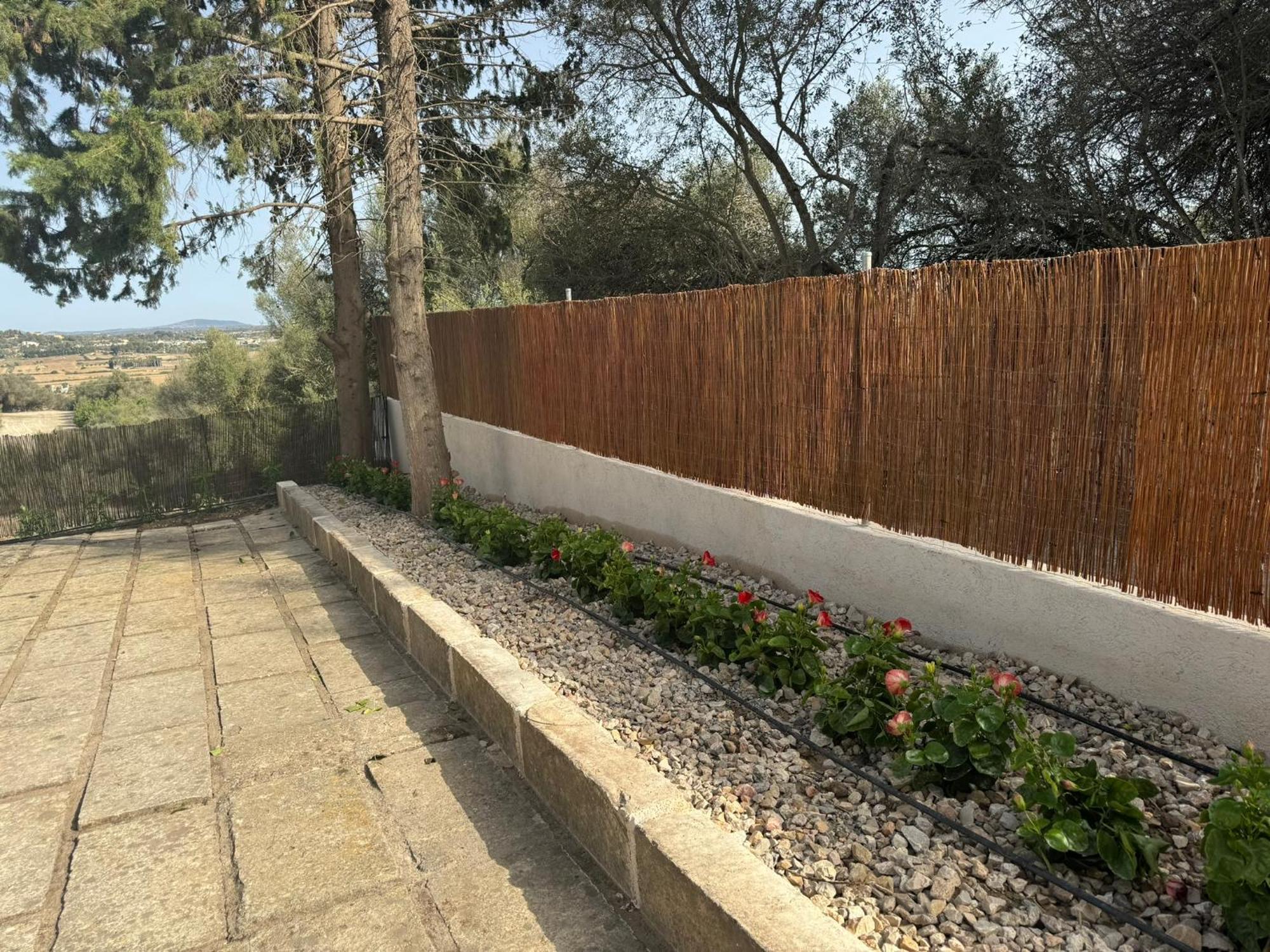 Son Flor Farm stay Santa Margalida