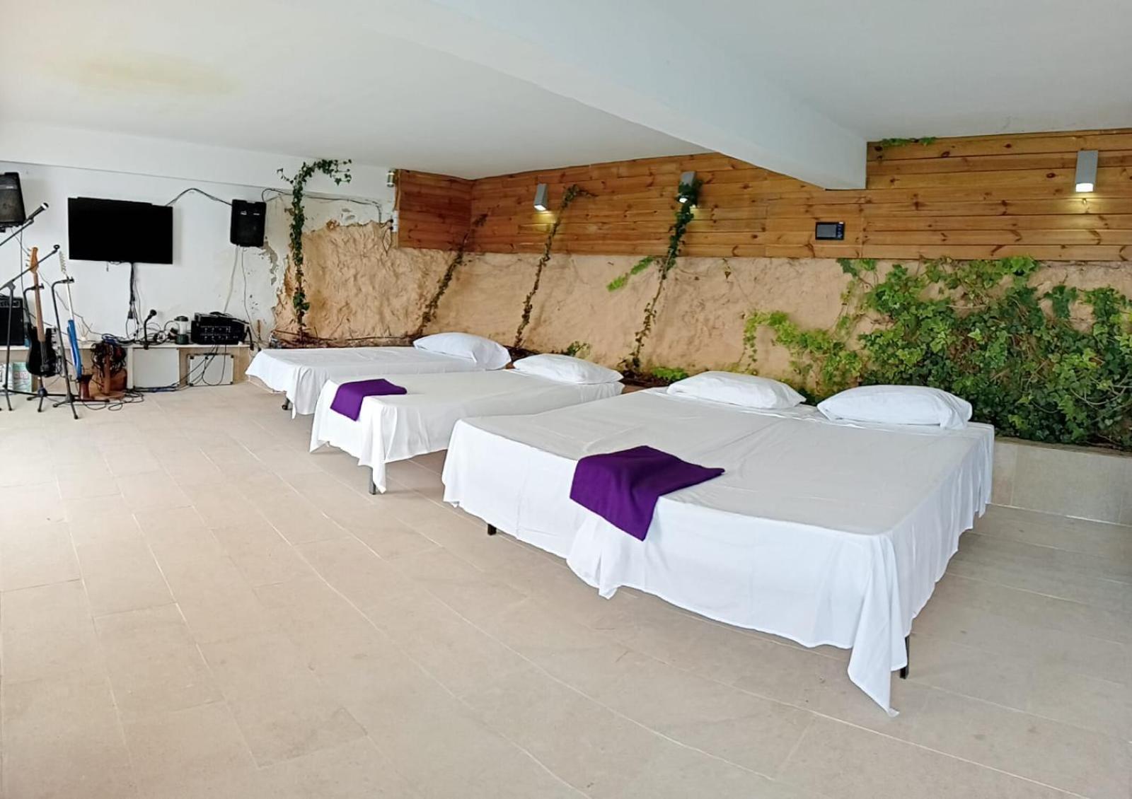 Vip Seafront * El Toro (Mallorca)