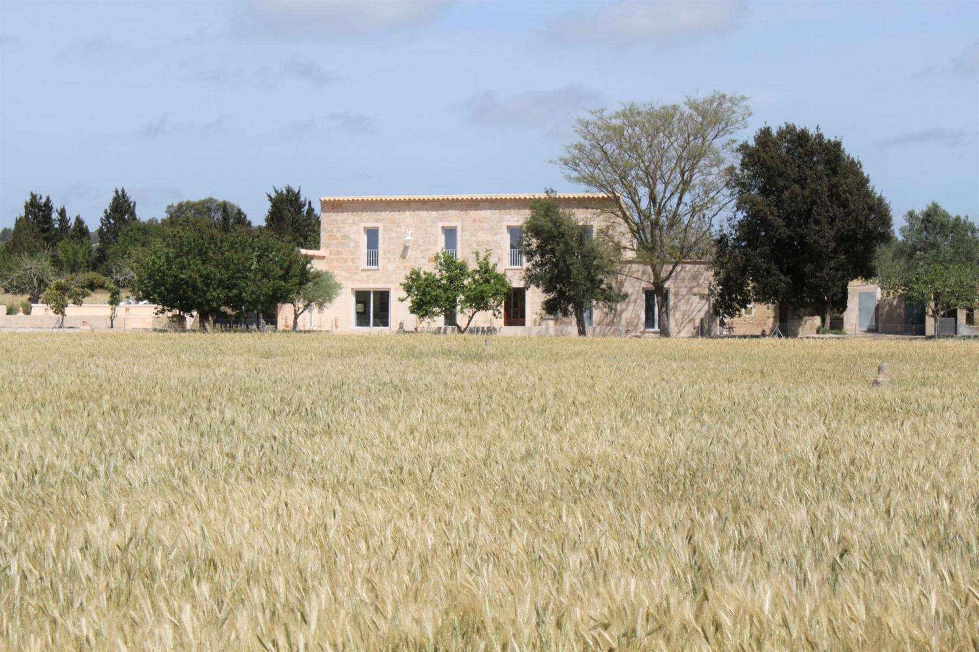 Secretari * Montuiri (Mallorca)