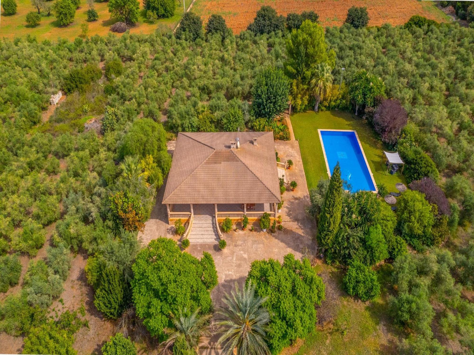 Villa Near Platja De Muro Búger