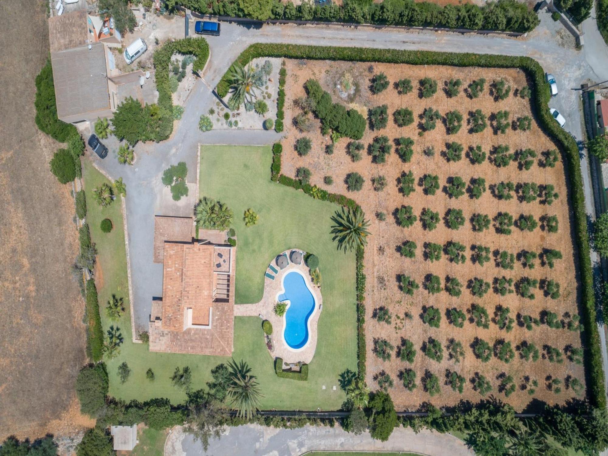 S'hort D'or, 5starshome Mallorca * Fenalitx (Fenalich)