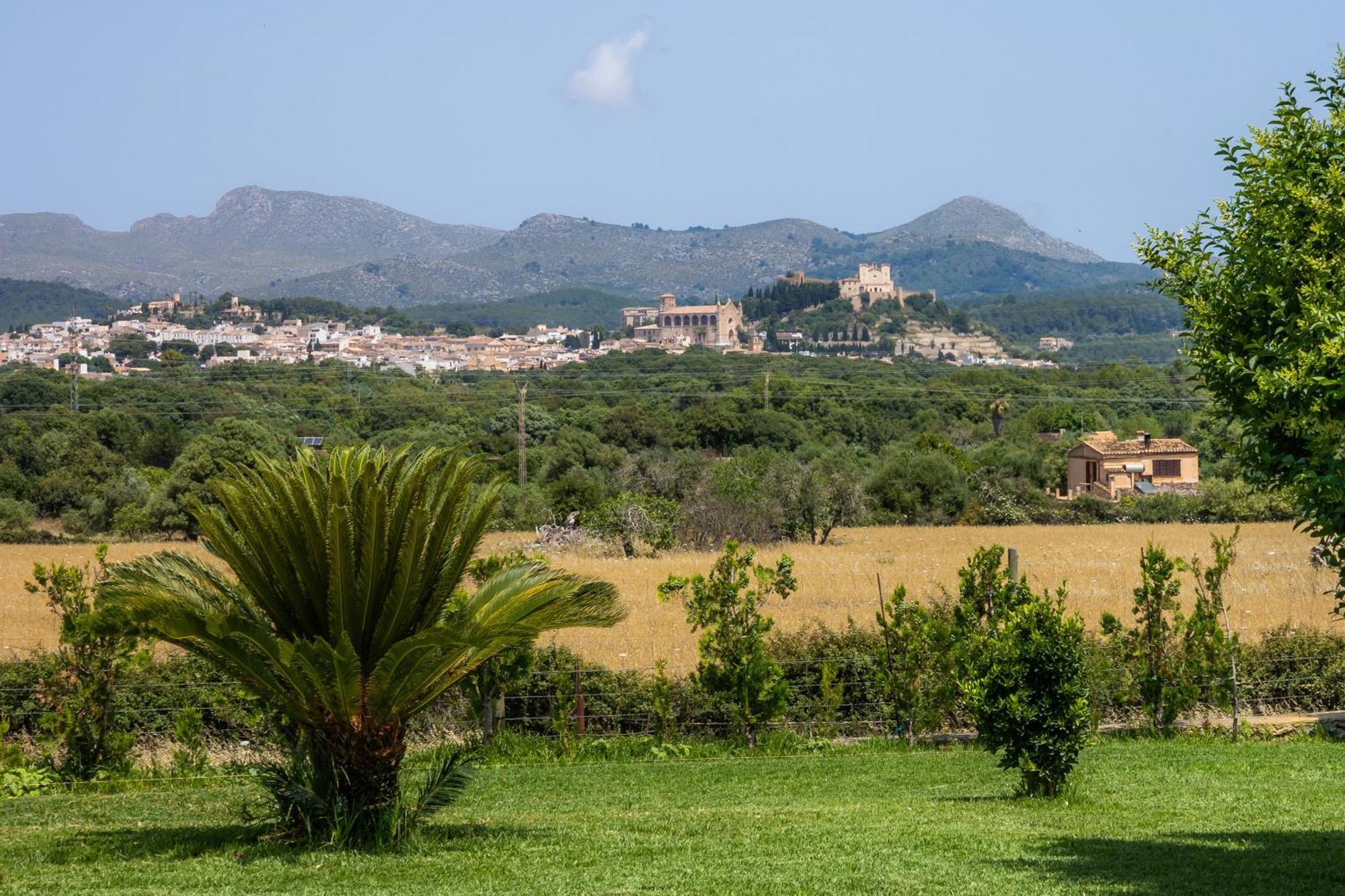 Terres - Baladre