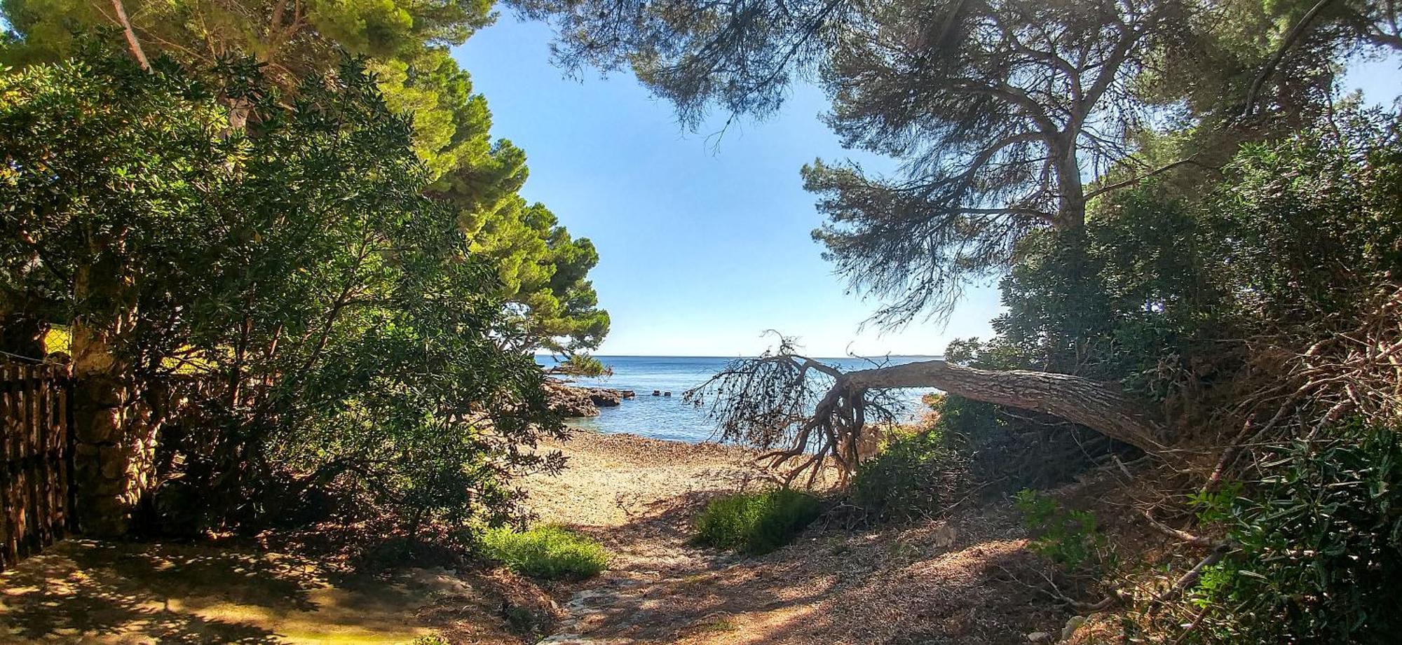 Tomeu Villa