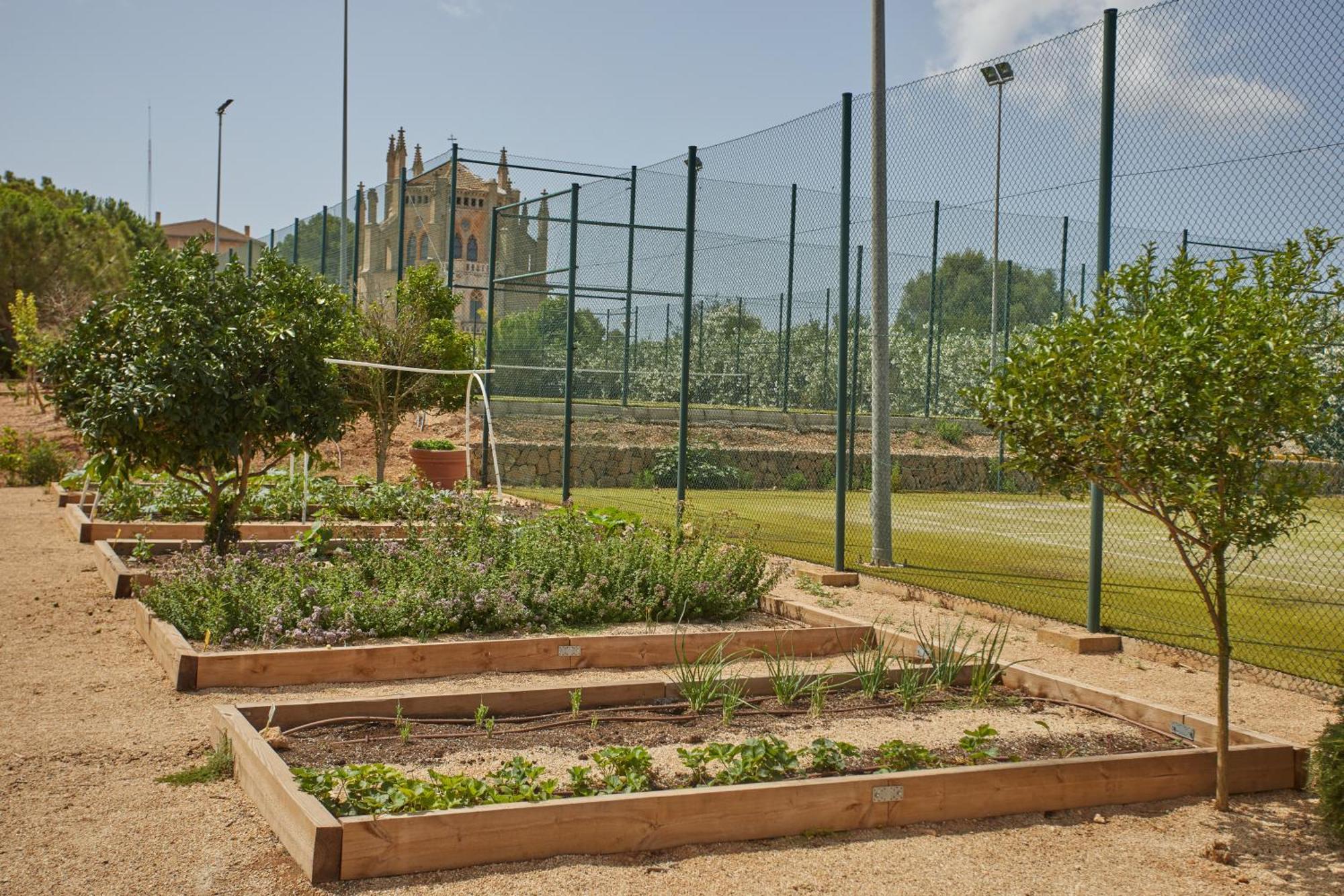Zoetry Mallorca Wellness & (adults Only) 5* Llucmajor (Mallorca)