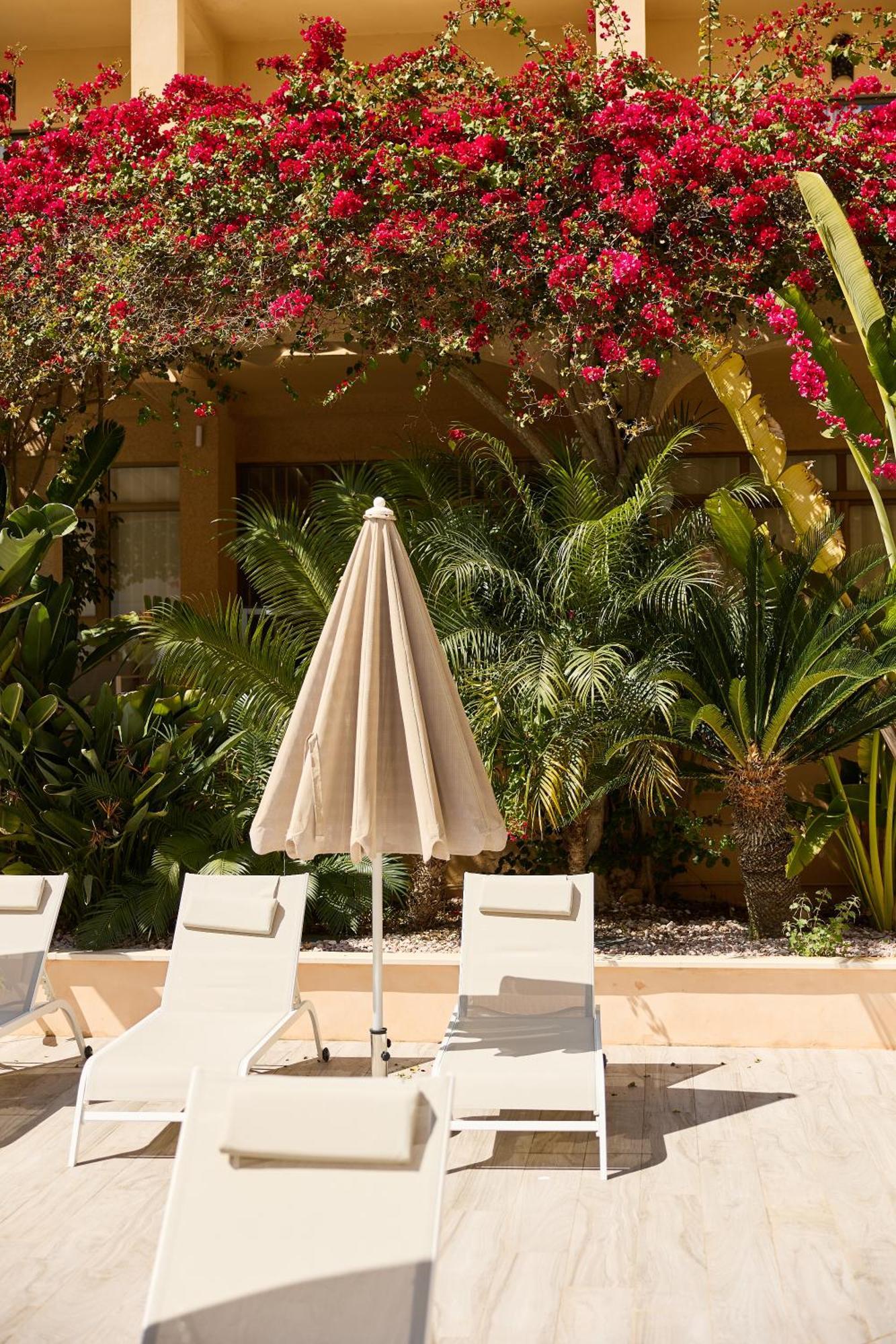 Apartamento Isla Del Sol *