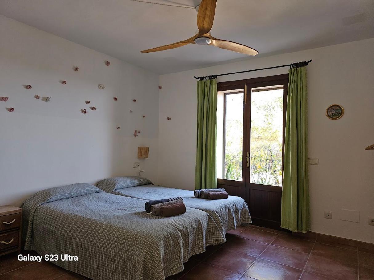 Mallorca Dream